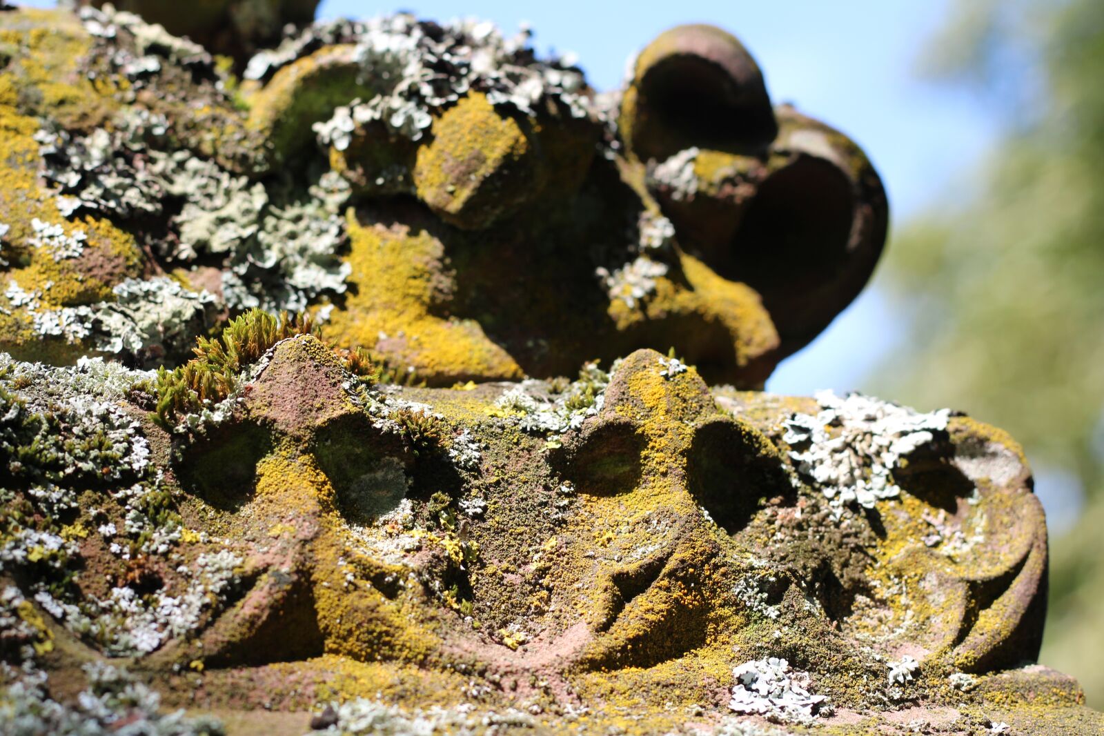 Canon EOS 1200D (EOS Rebel T5 / EOS Kiss X70 / EOS Hi) + Canon EF 50mm F1.8 STM sample photo. Moss, lichen, tombstone photography