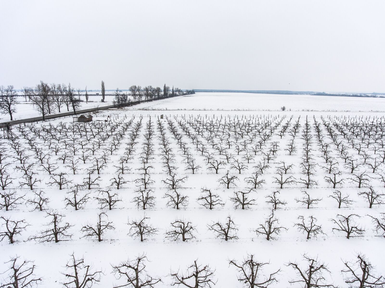 DJI FC330 sample photo. Nature, nobody, farm winter photography