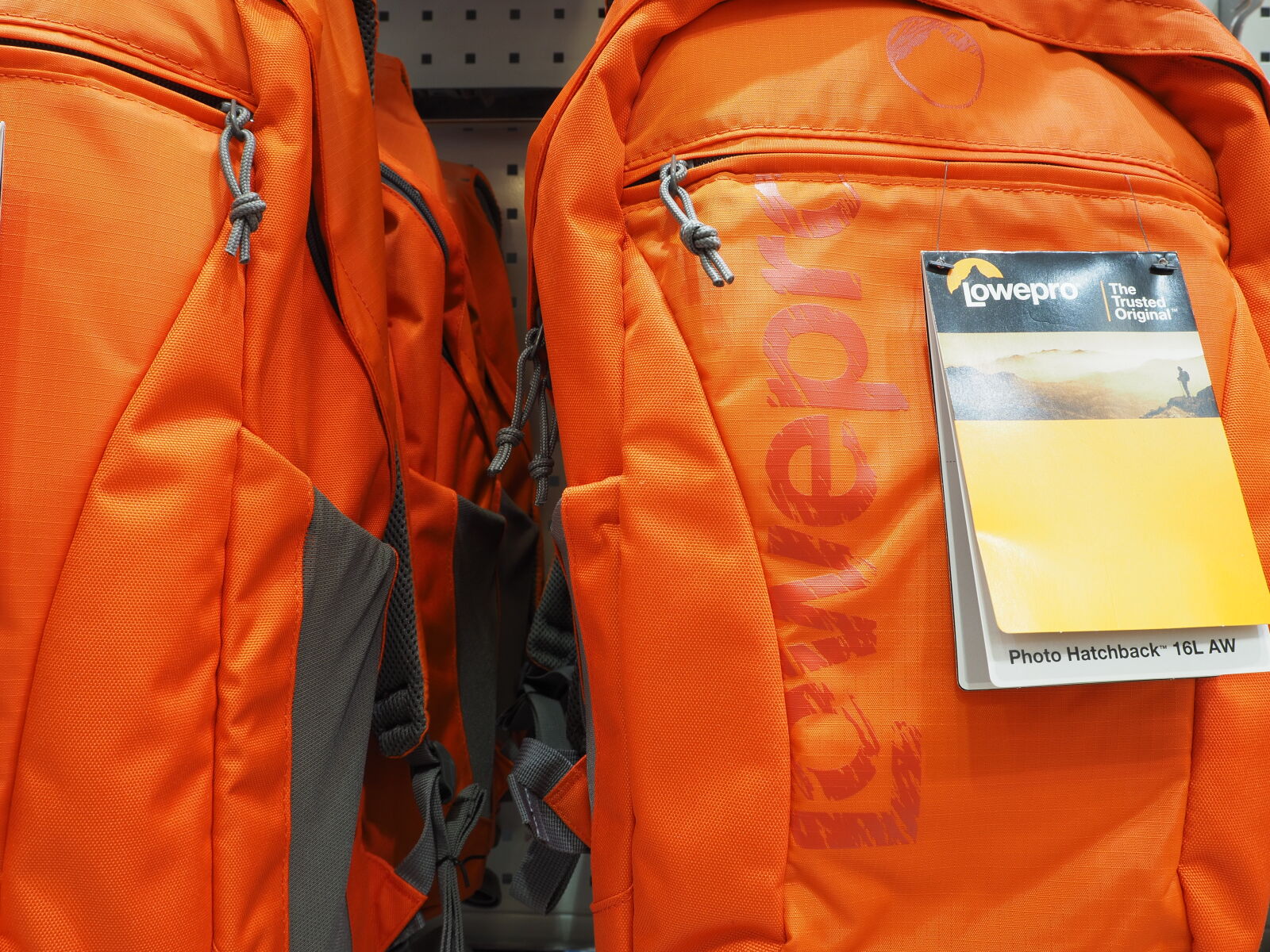 Olympus OM-D E-M5 II sample photo. Orange bags without high photography