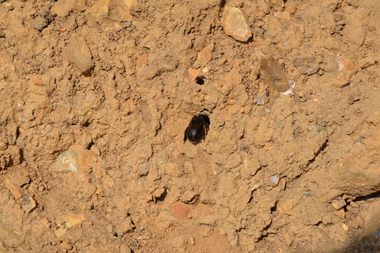 Nikon D3200 sample photo. Soil, sand, stone photography