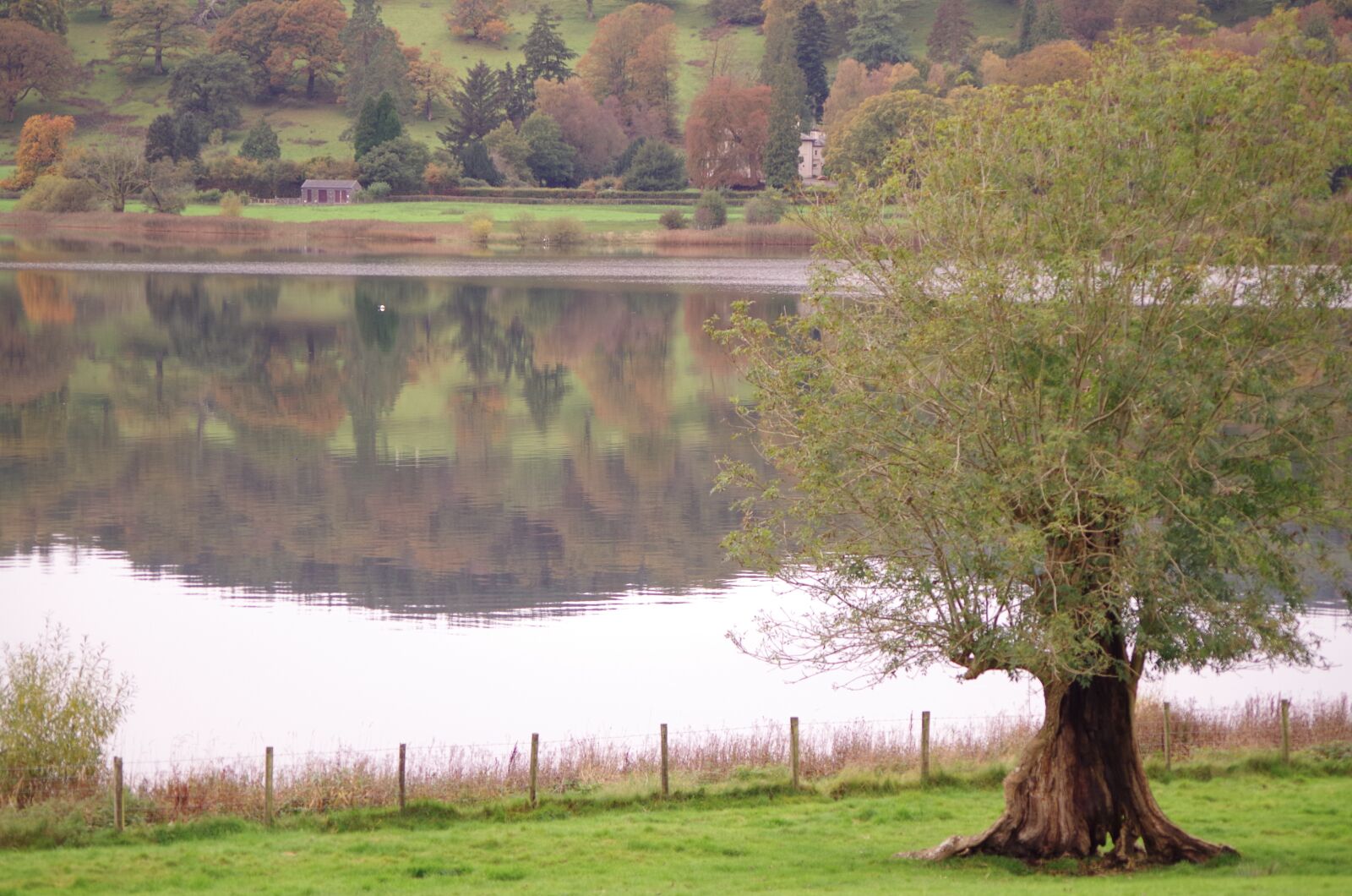 Pentax K-30 sample photo. Lake district, lake, uk photography