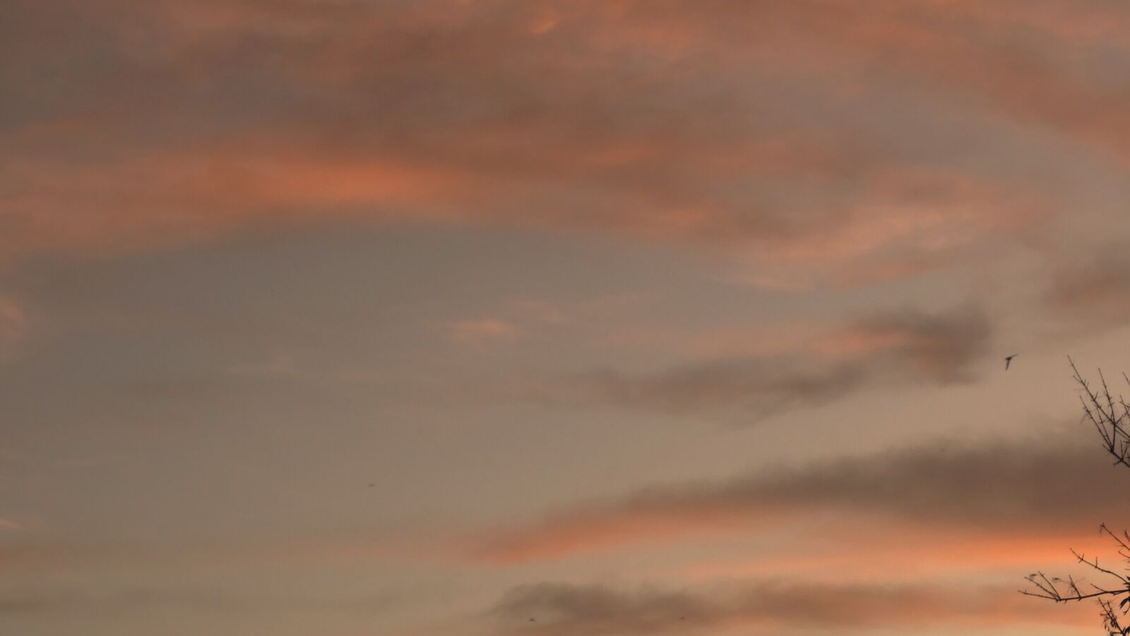 Sony DSC-HX400 sample photo. Sky, space, sunset photography