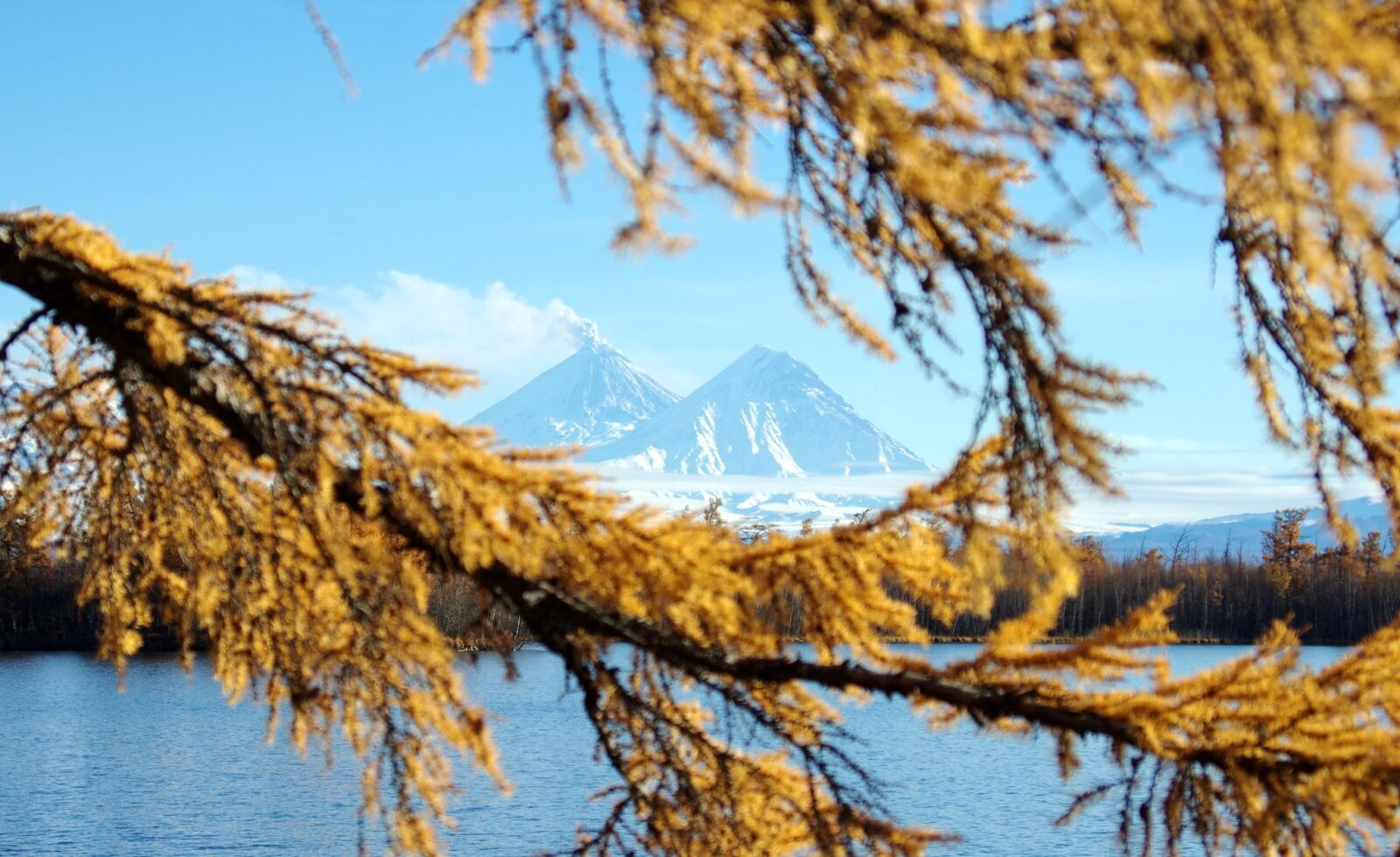 Pentax K-5 sample photo. Autumn, volcanoes, larch photography
