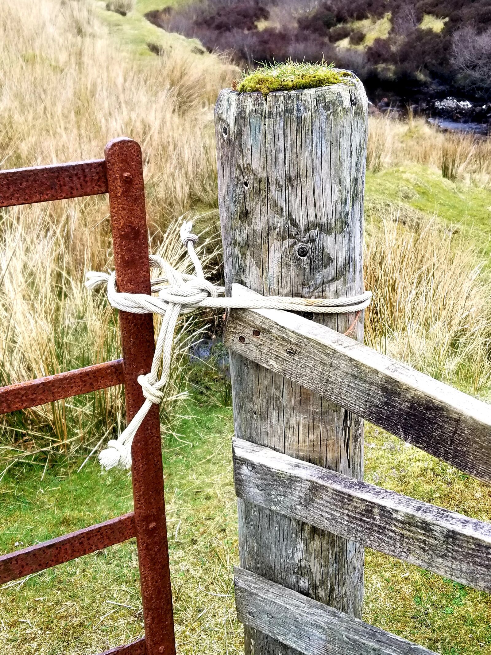 Samsung Galaxy S8 sample photo. Old gate, roskhill, dunvegan photography