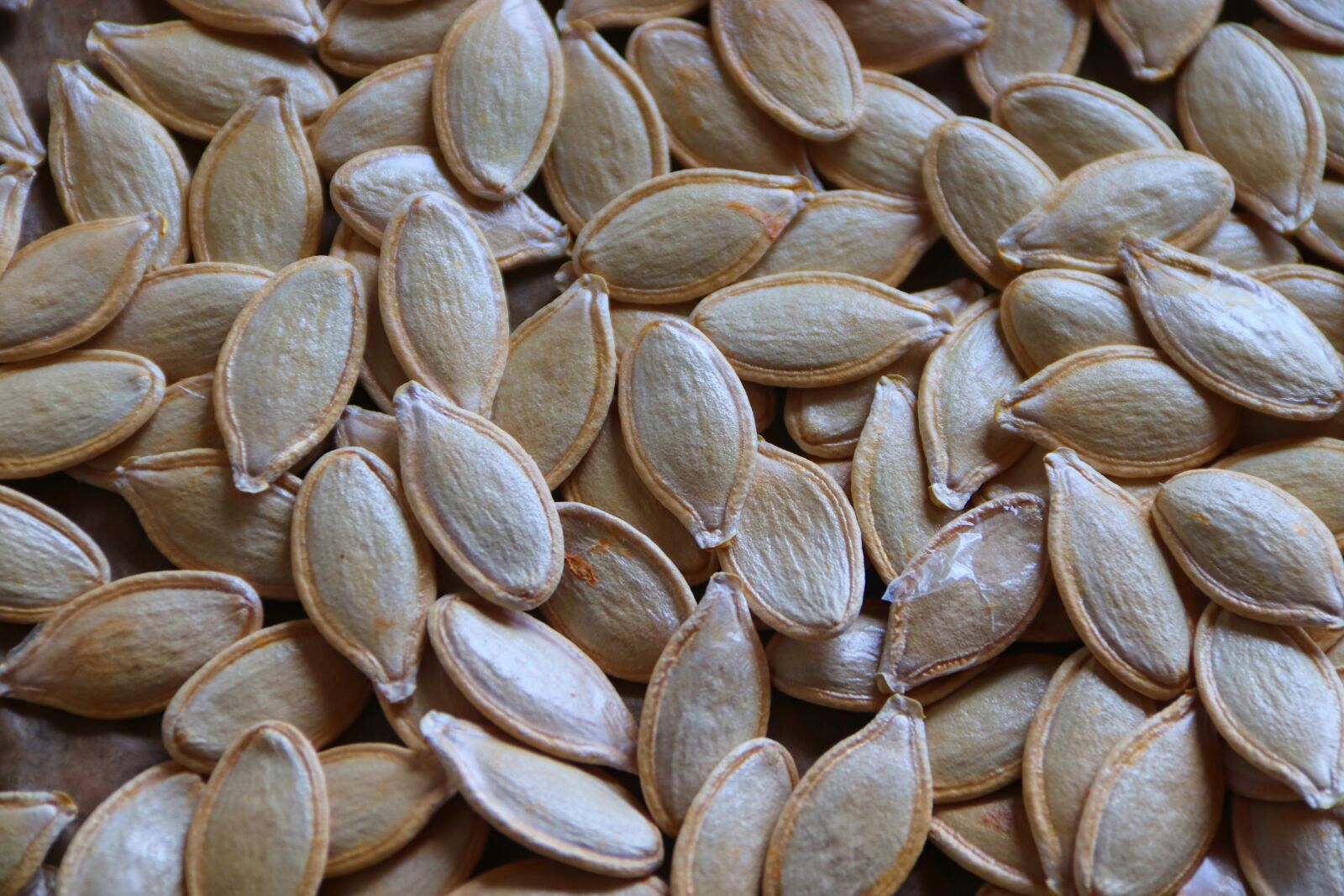 Canon EOS 200D (EOS Rebel SL2 / EOS Kiss X9) sample photo. Pumpkin seeds, healthy, food photography