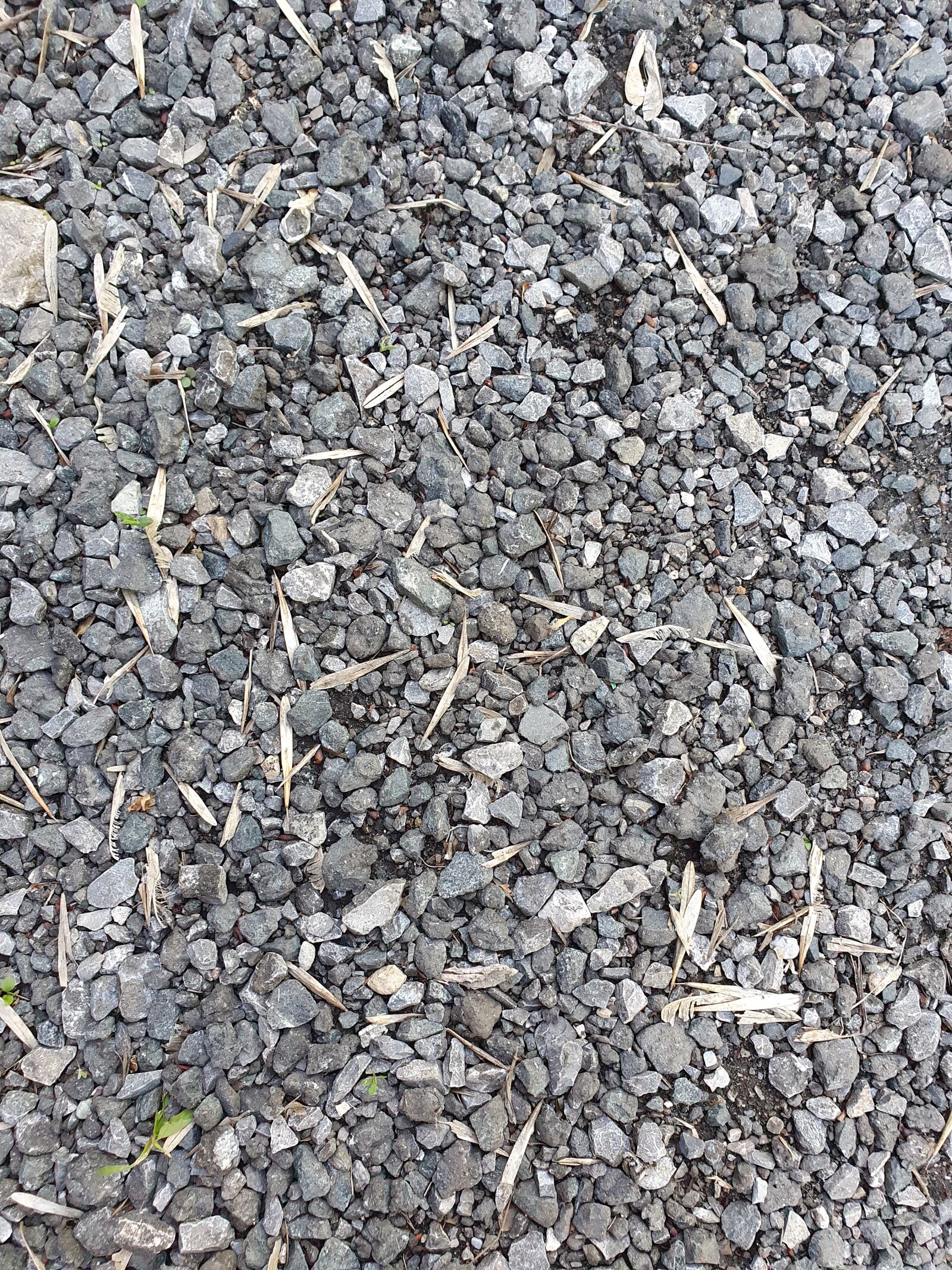 Samsung Galaxy S10 sample photo. Asphalt, grey, crushed stone photography