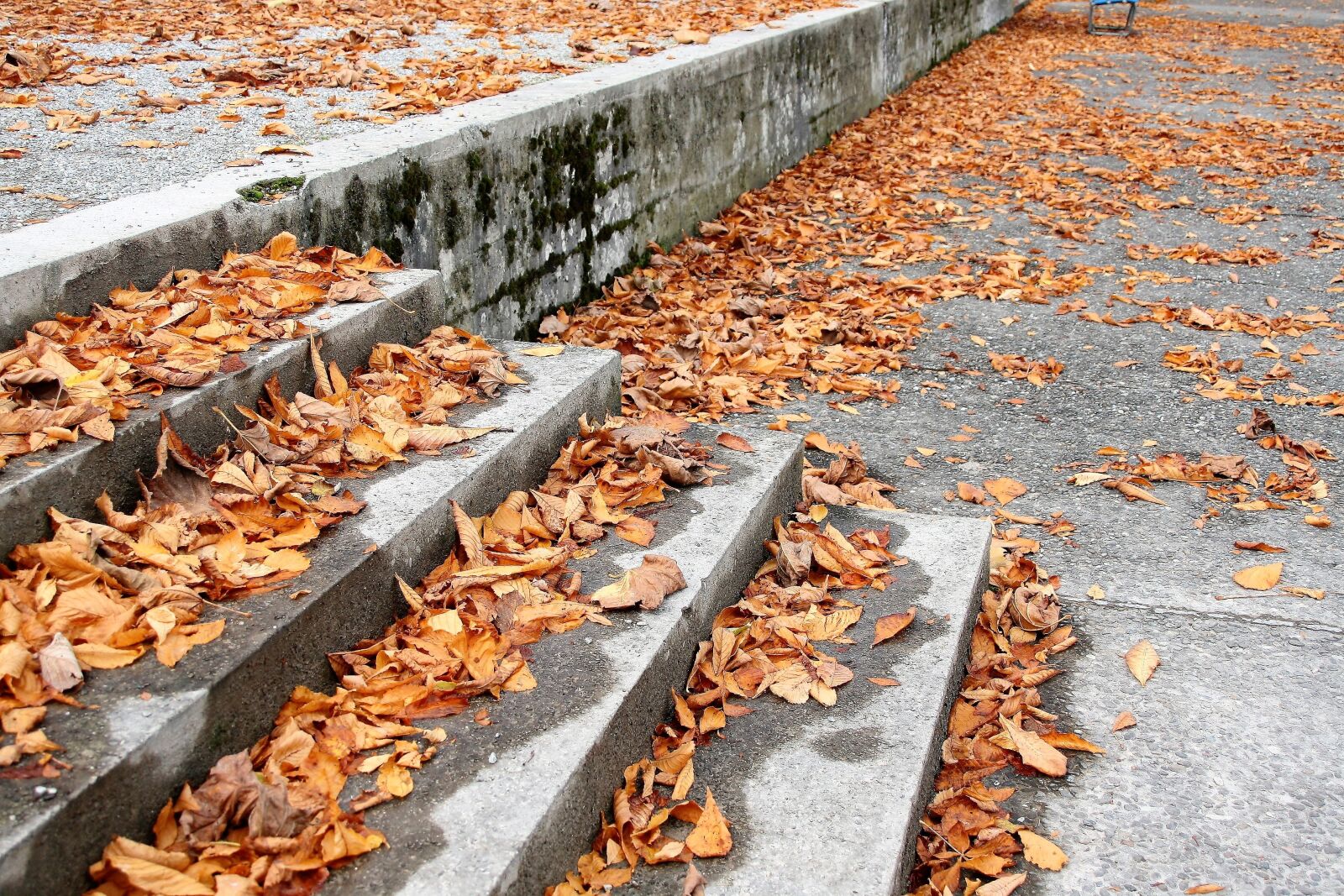 Canon EOS 400D (EOS Digital Rebel XTi / EOS Kiss Digital X) sample photo. Stairs, dry leaves, october photography