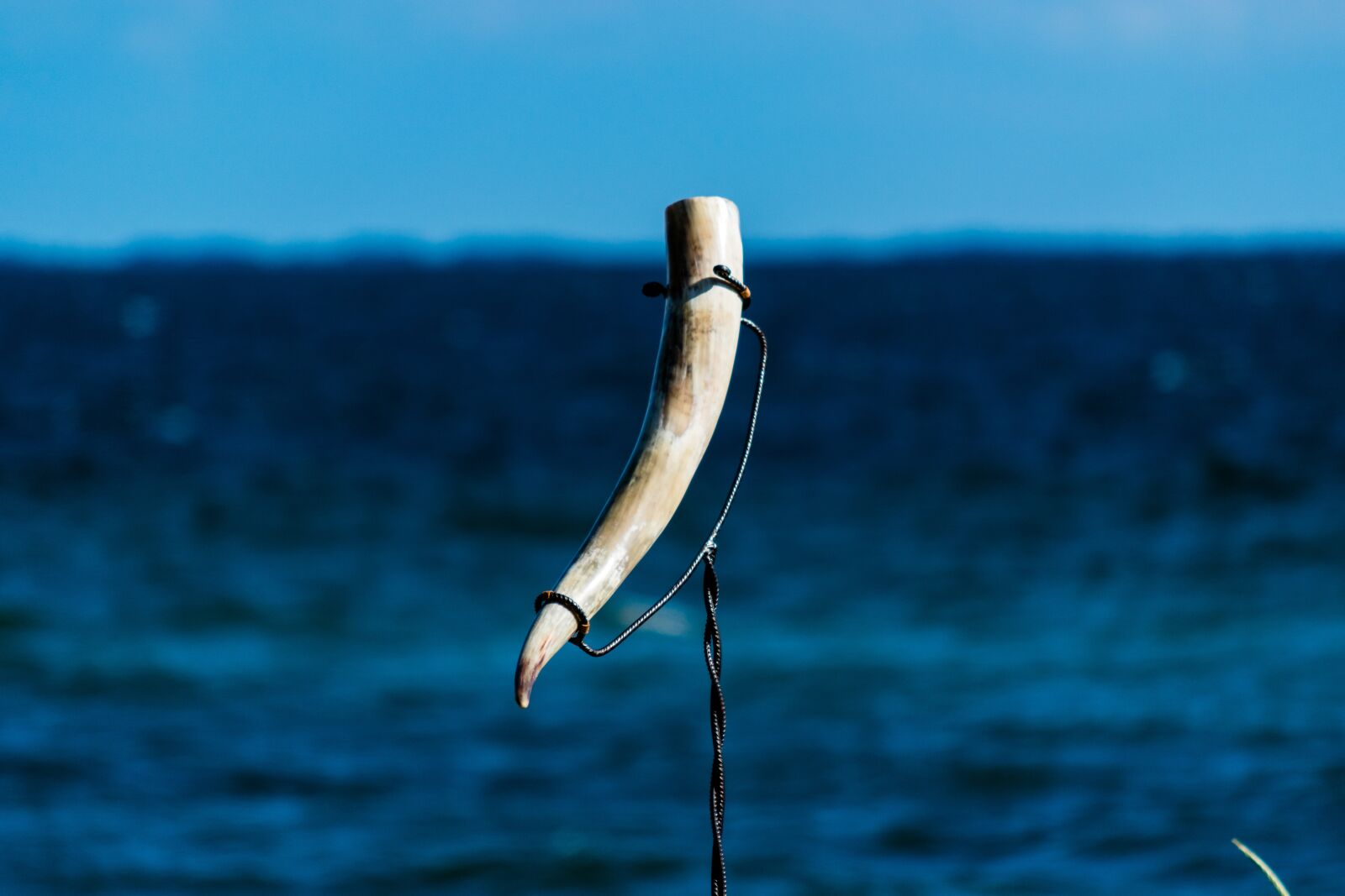 Nikon D5500 sample photo. Drinking horn, viking, drink photography