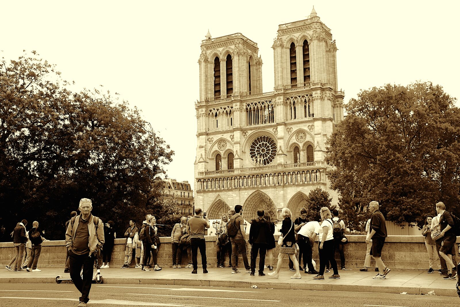 Canon EOS 800D (EOS Rebel T7i / EOS Kiss X9i) sample photo. Notre dame de paris photography
