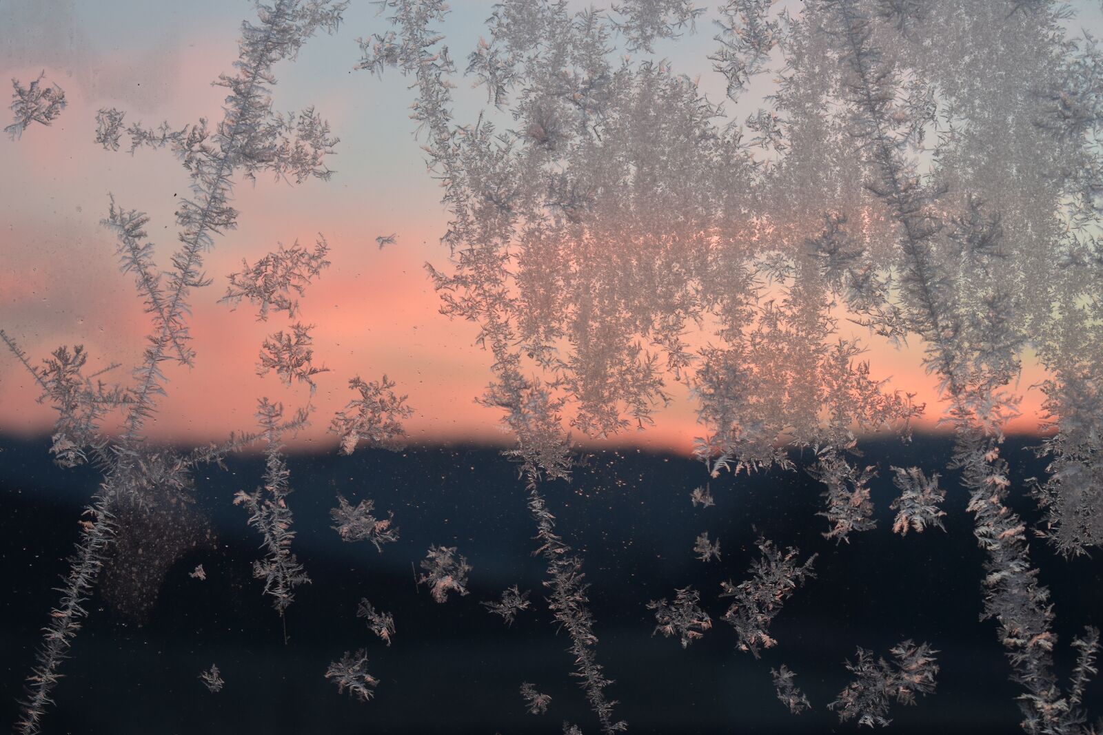 Nikon D5500 sample photo. Hardest, frost, winter photography