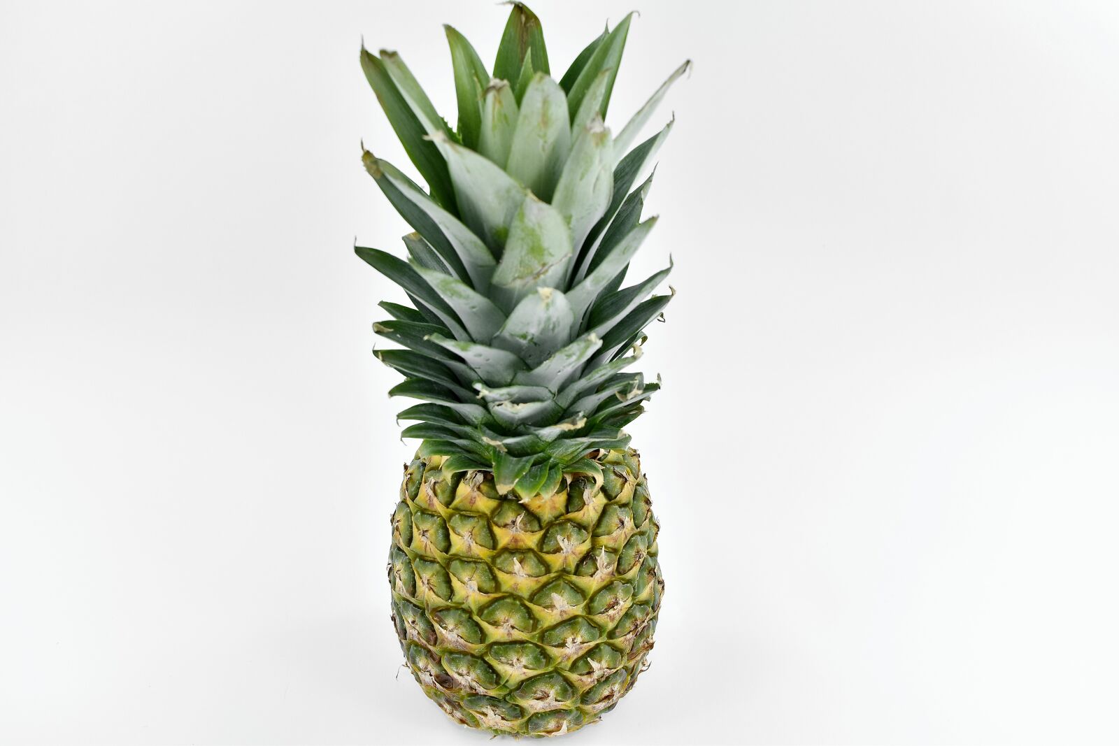 Nikon D5500 sample photo. Antioxidant, citrus, diet, dietary photography