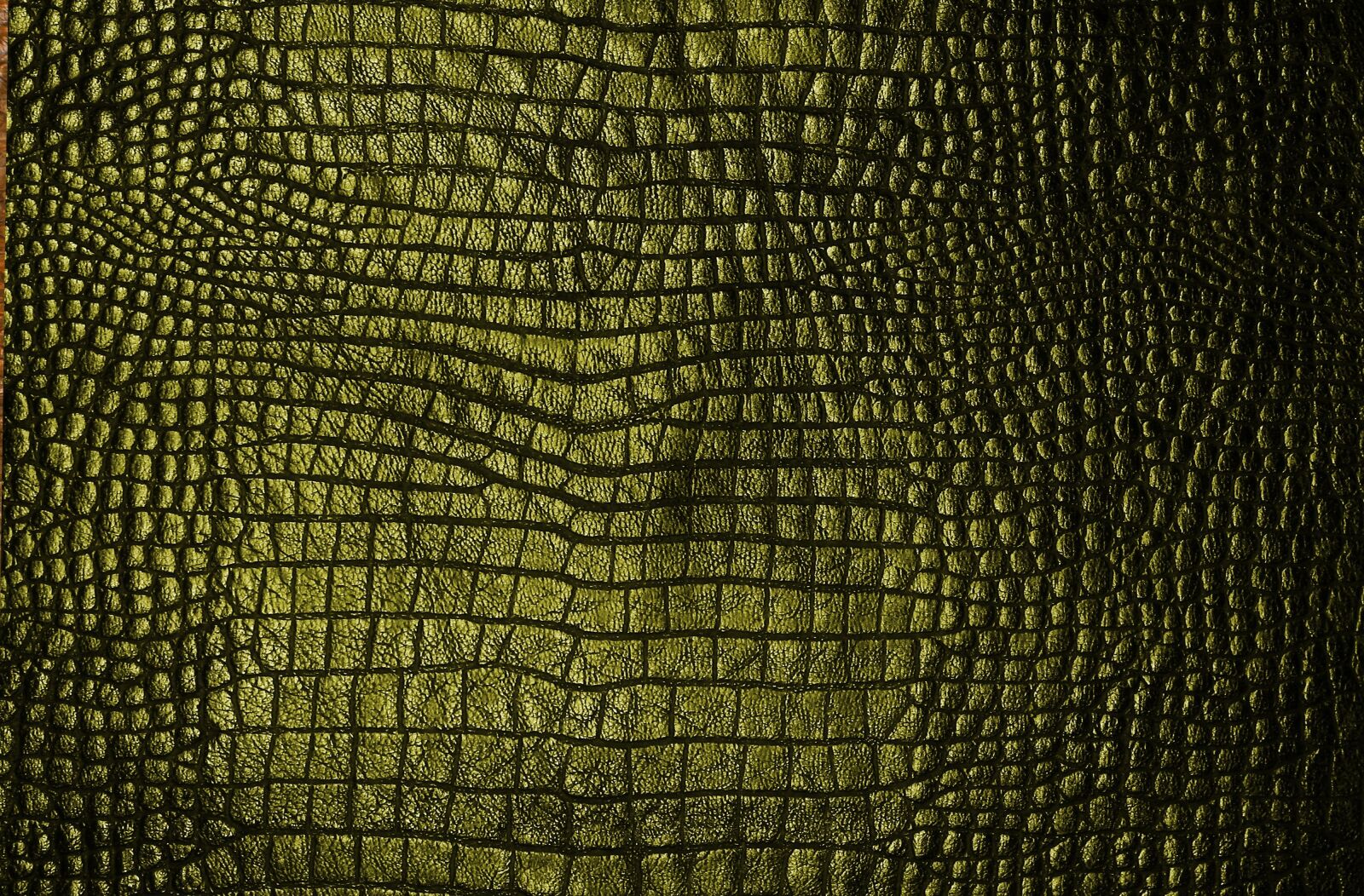Nikon D700 sample photo. Texture, cook, green photography