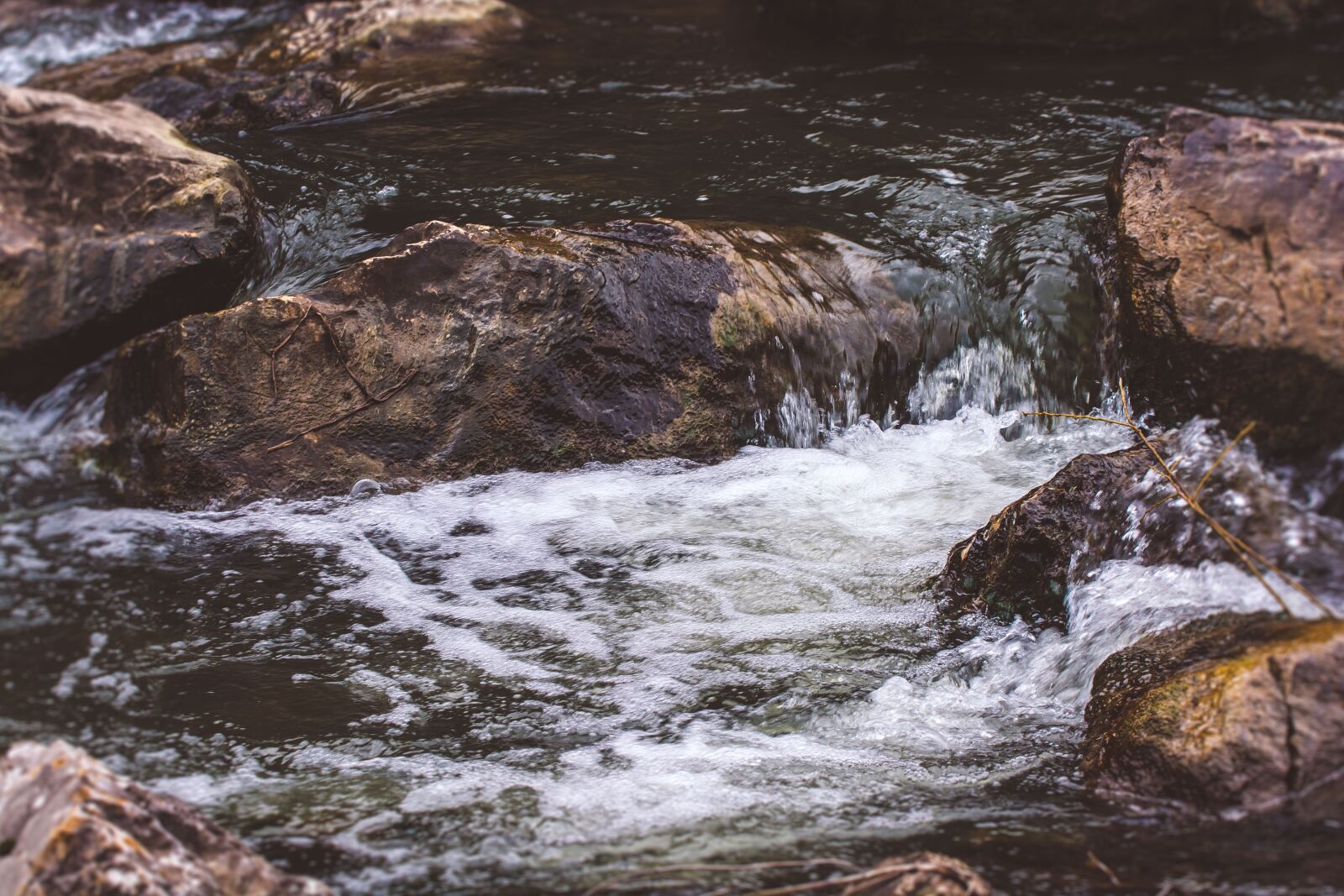 Nikon D7100 sample photo. Nature, wood, forrest photography