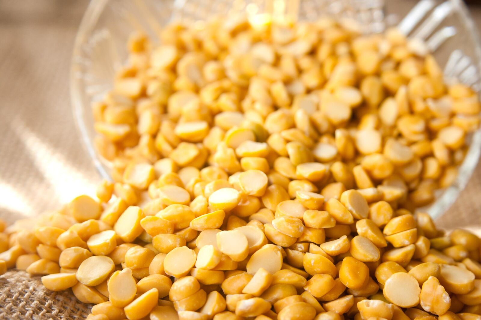 Canon EOS 1000D (EOS Digital Rebel XS / EOS Kiss F) sample photo. Grain, seed, bowl, glass photography