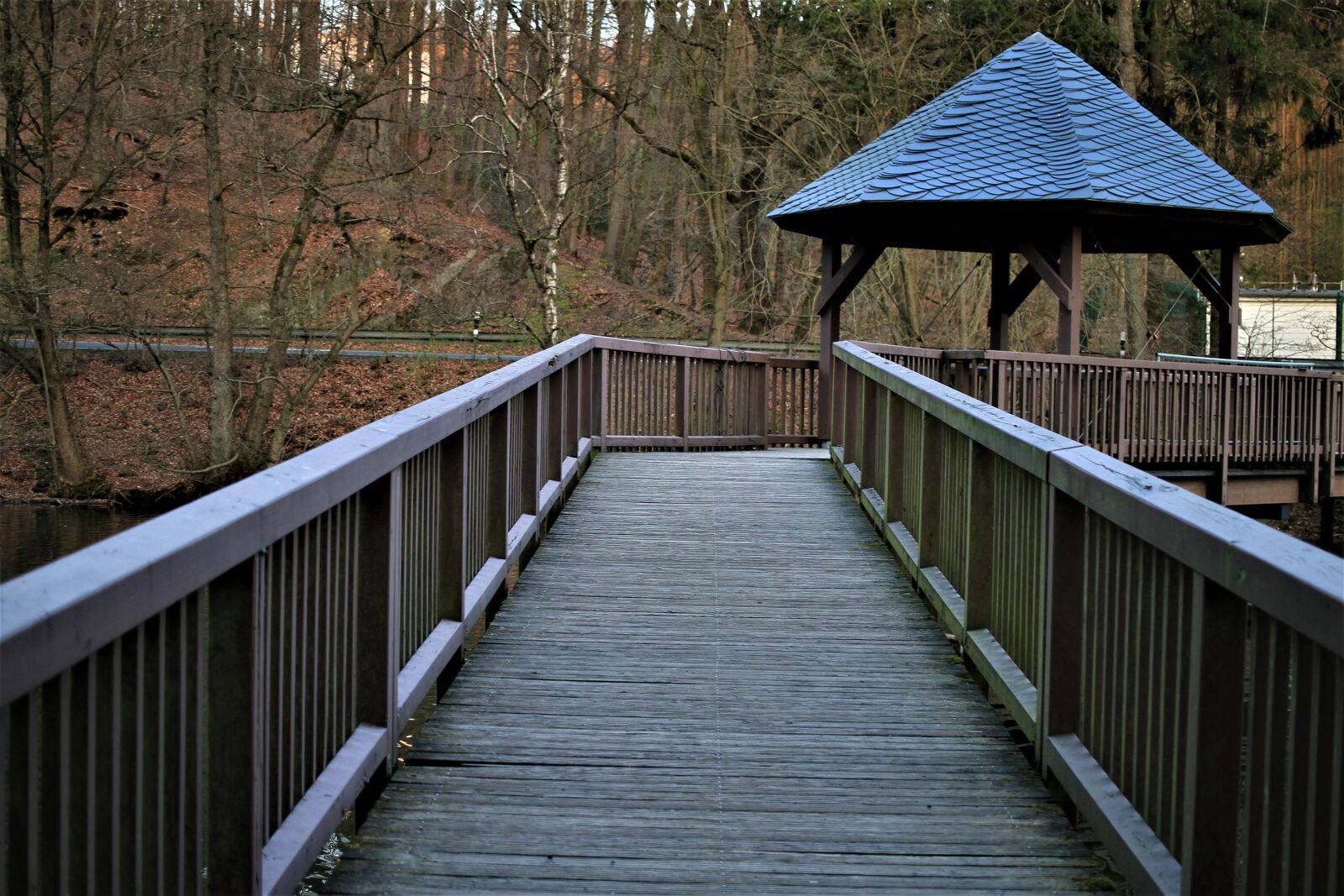 Canon EOS 7D sample photo. Bridge, web, wooden bridge photography