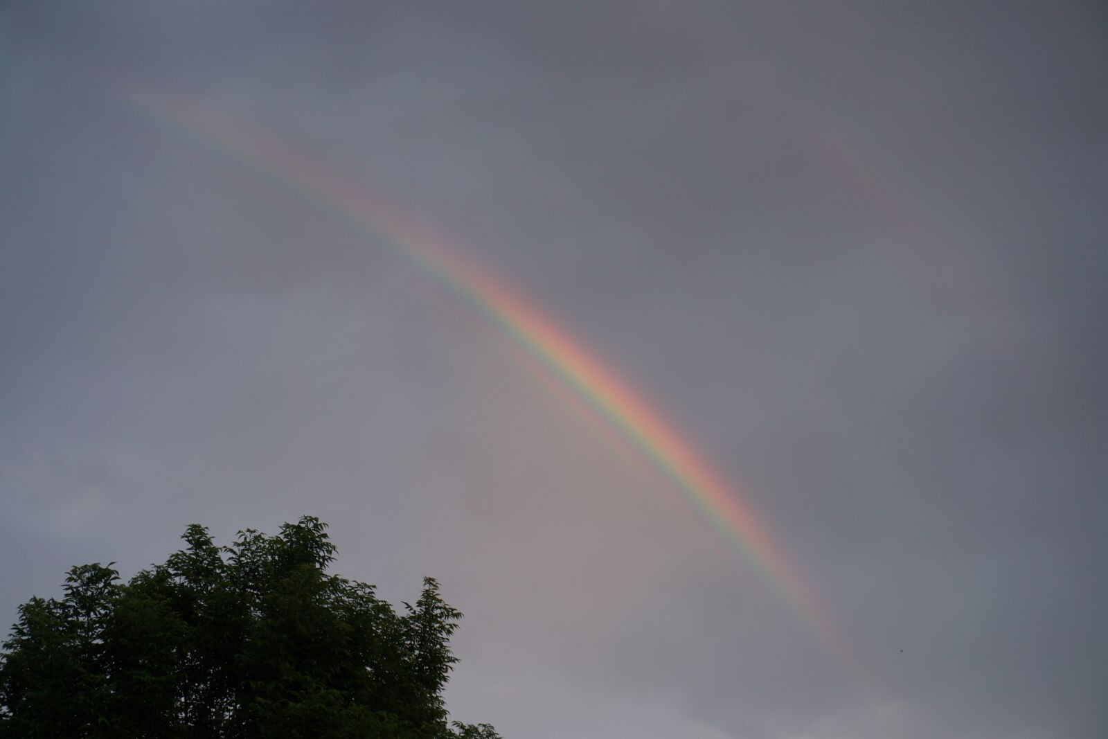 Sony a6000 sample photo. Rainbow, rain, sky photography