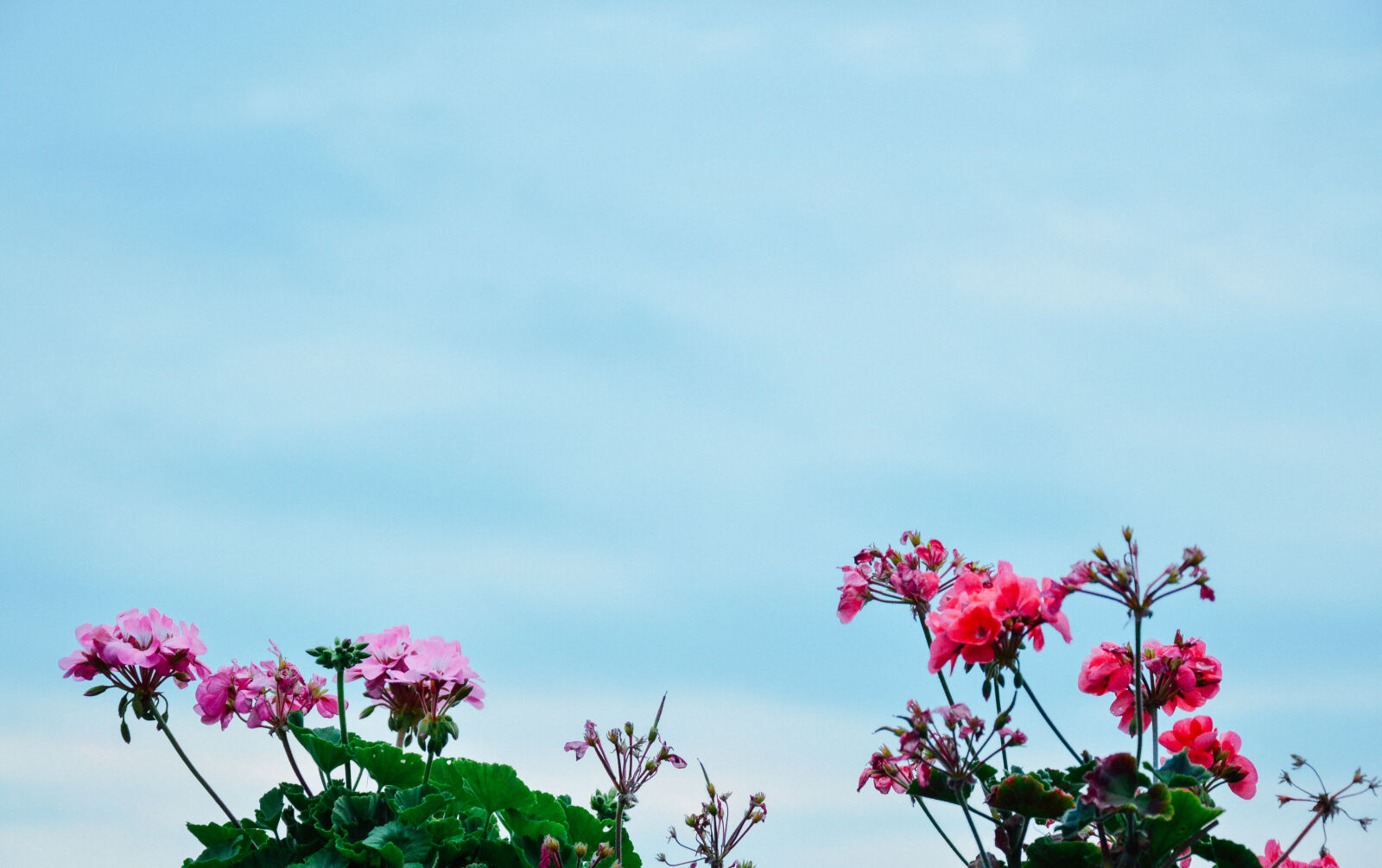 Nikon D3200 sample photo