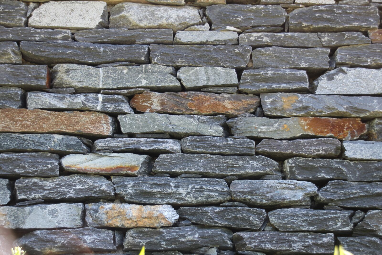 Canon EOS 1300D (EOS Rebel T6 / EOS Kiss X80) sample photo. Drywall, wall, stone photography