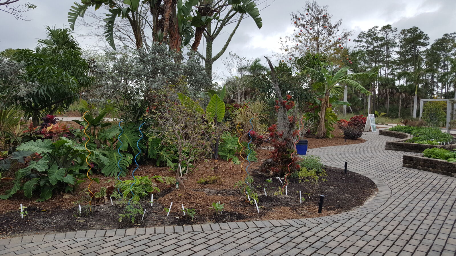 Samsung GALAXY S6 edge sample photo. Botanical, gardens photography