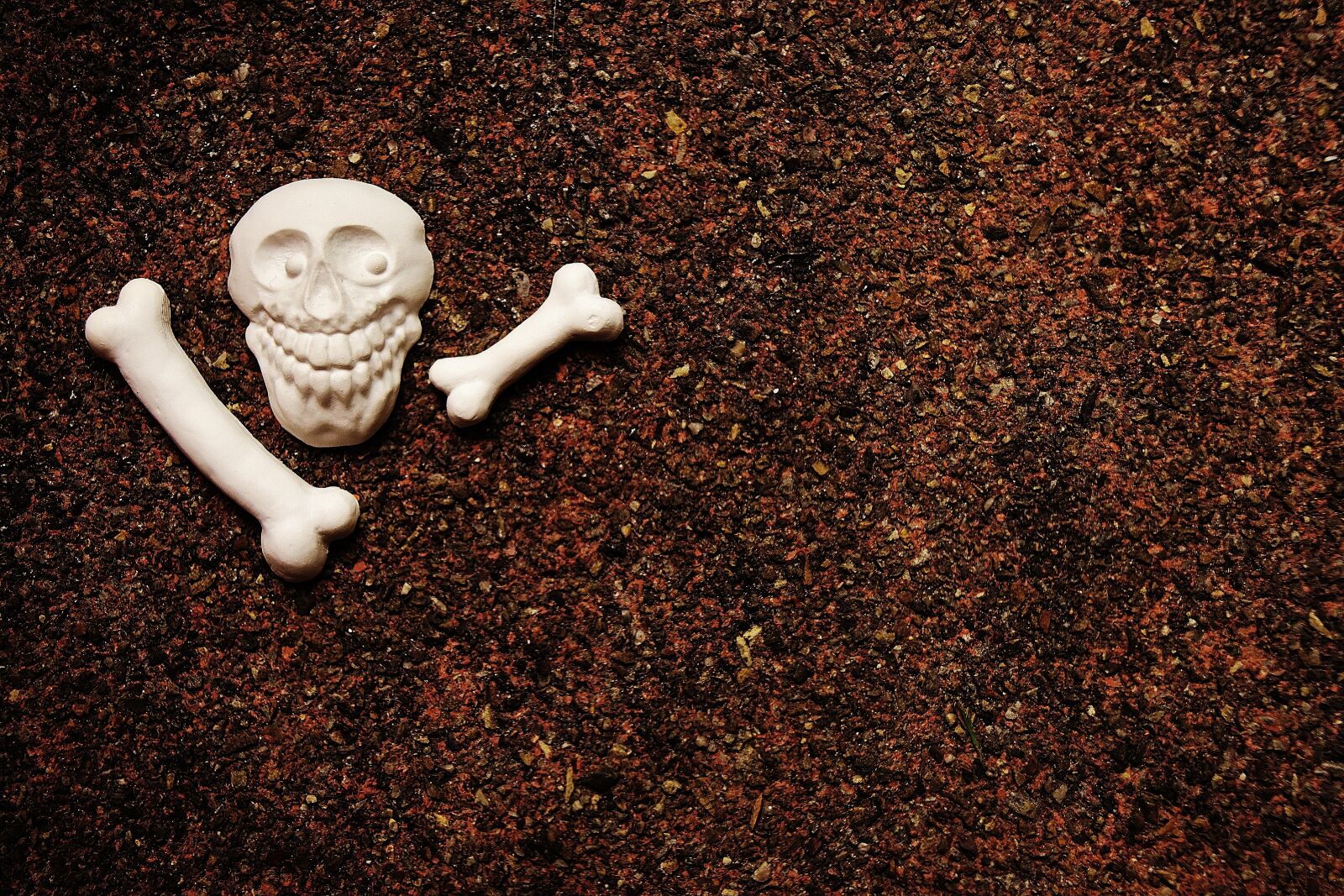 Nikon D7200 sample photo. Skull and crossbones, bone photography