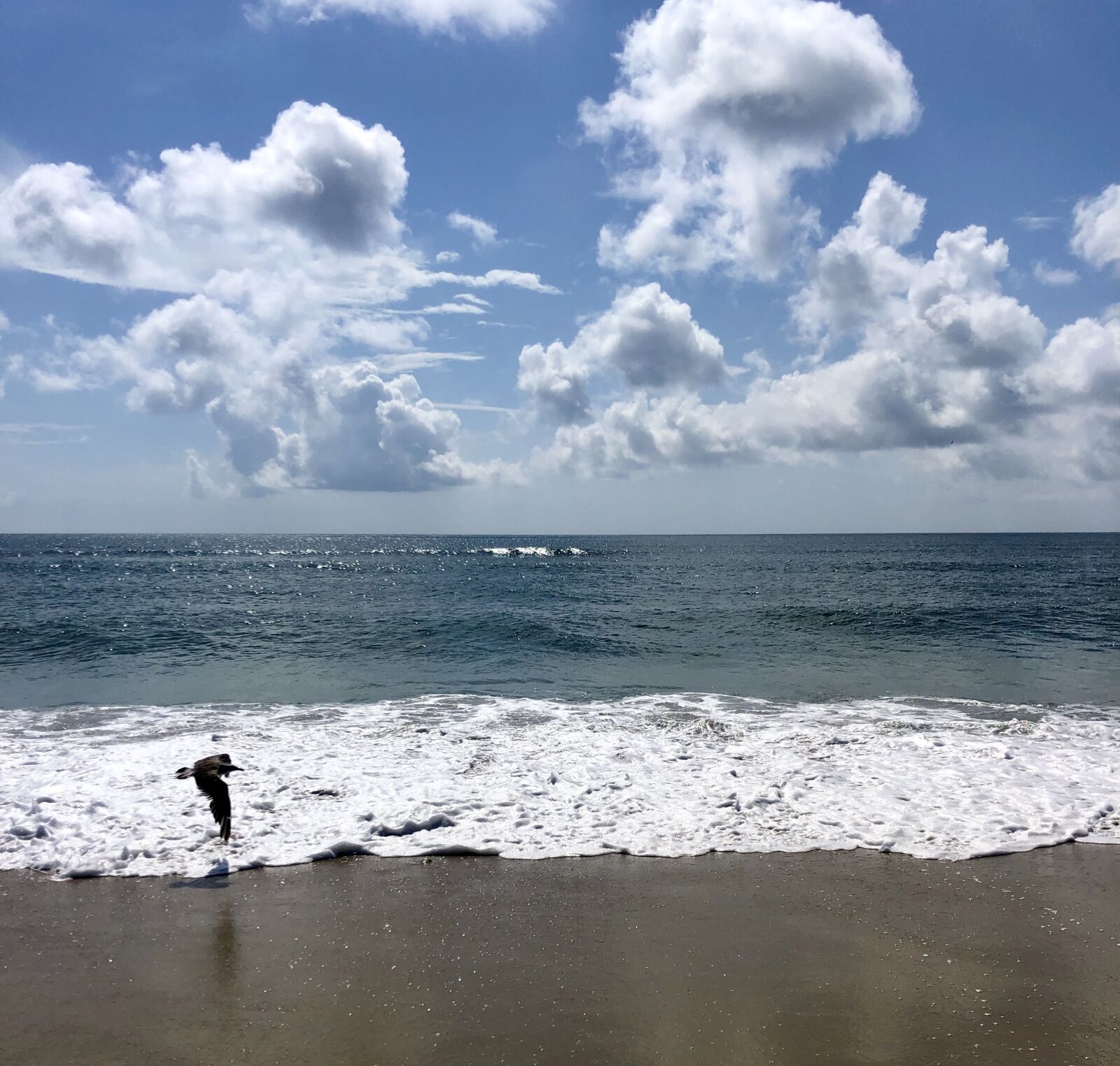 iPhone X back dual camera 4mm f/1.8 sample photo. Beach, sand, water photography