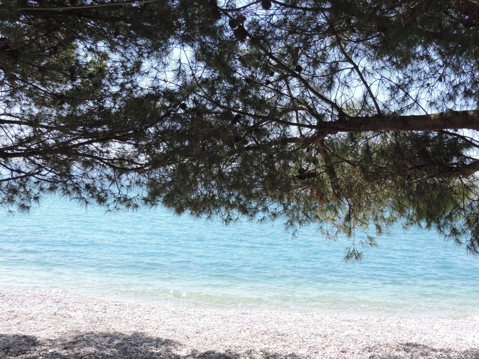 Nikon Coolpix P520 sample photo. Croatia, stone beach, coniferous photography