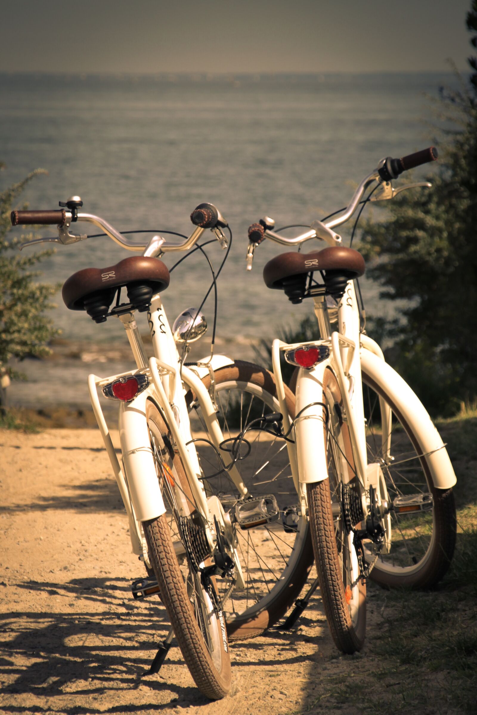 Canon TS-E 90mm F2.8 Tilt-Shift sample photo. Bike, couple, beach photography