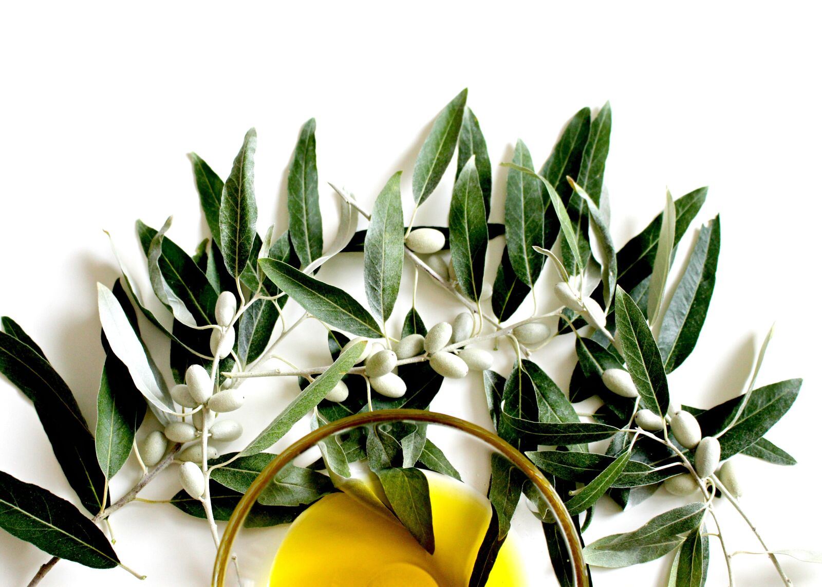 Canon EOS 700D (EOS Rebel T5i / EOS Kiss X7i) sample photo. Olive, olive oil, olive photography