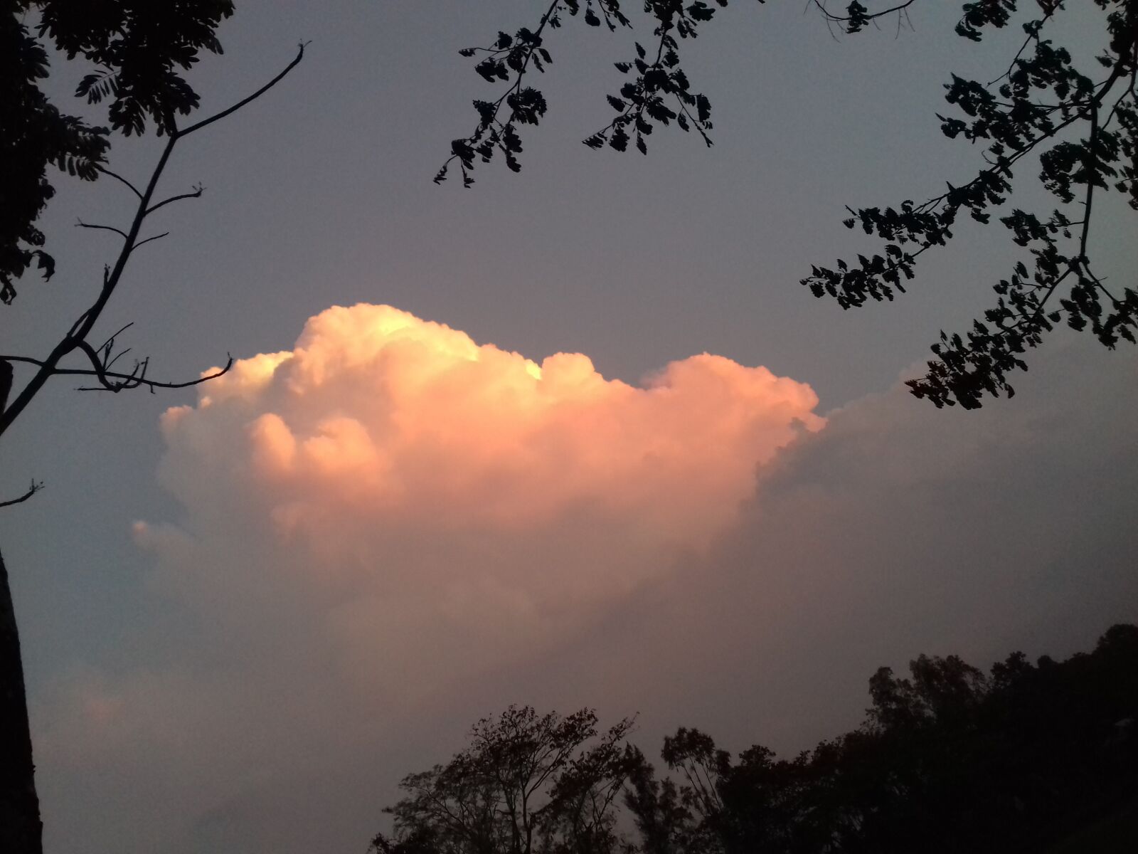 Samsung Galaxy J3(2016) sample photo. Red, cloud, day photography