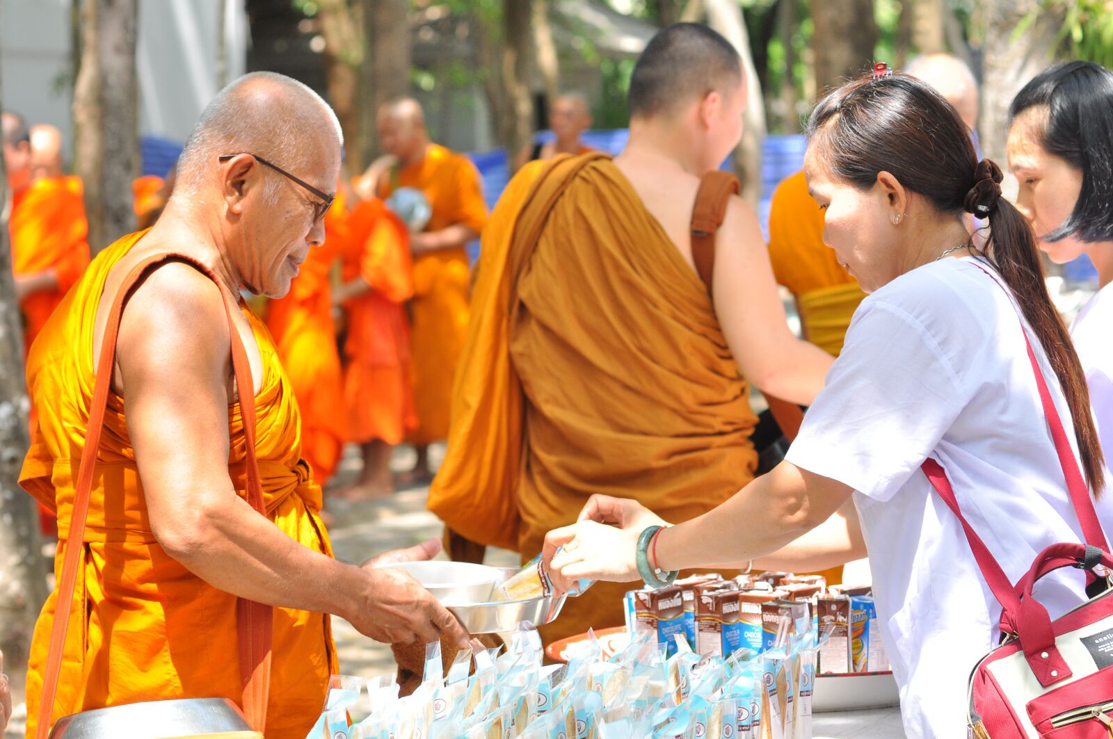 Nikon D90 sample photo. Buddhism, the english, buddhists photography