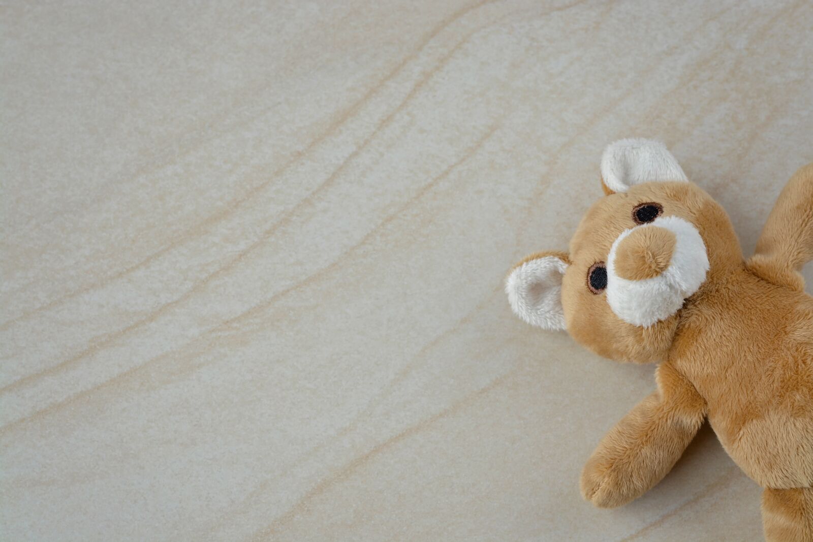 Nikon D7100 sample photo. Teddy, teddy bear, small photography