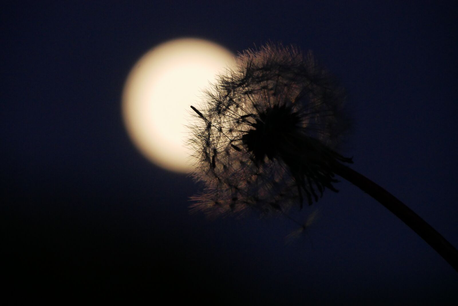 Panasonic Lumix DMC-GX85 (Lumix DMC-GX80 / Lumix DMC-GX7 Mark II) sample photo. Night, moon, dark photography