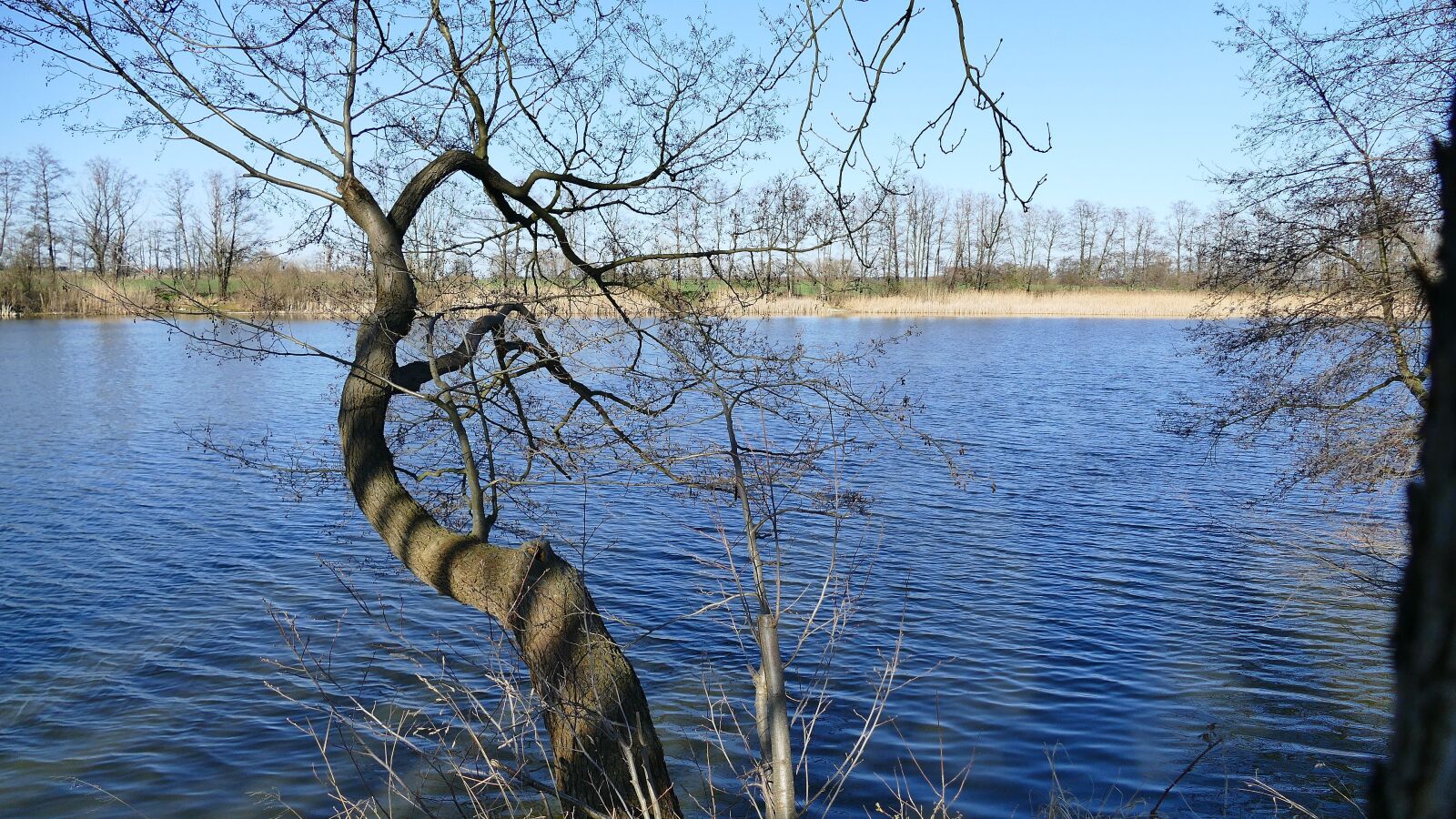 Panasonic Lumix DMC-FZ1000 sample photo. Lake, water, nature photography