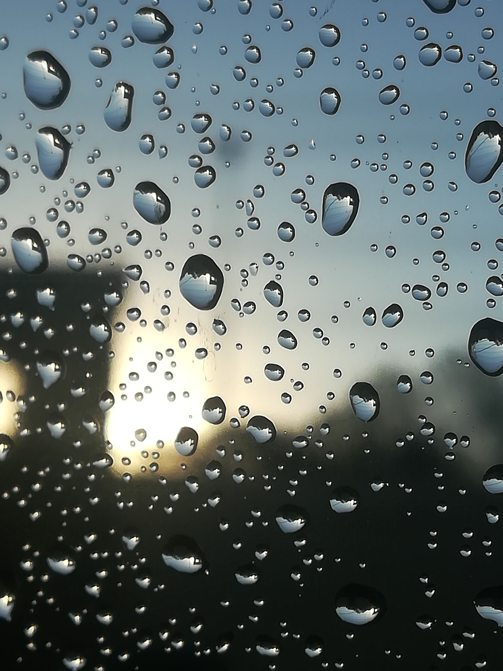 HUAWEI P10 lite sample photo. Rain, water, drops photography