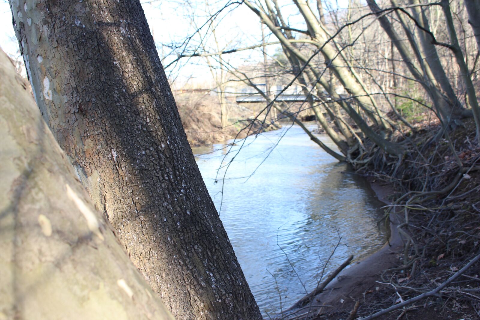 Canon EOS 700D (EOS Rebel T5i / EOS Kiss X7i) sample photo. Bridge, river, trees photography