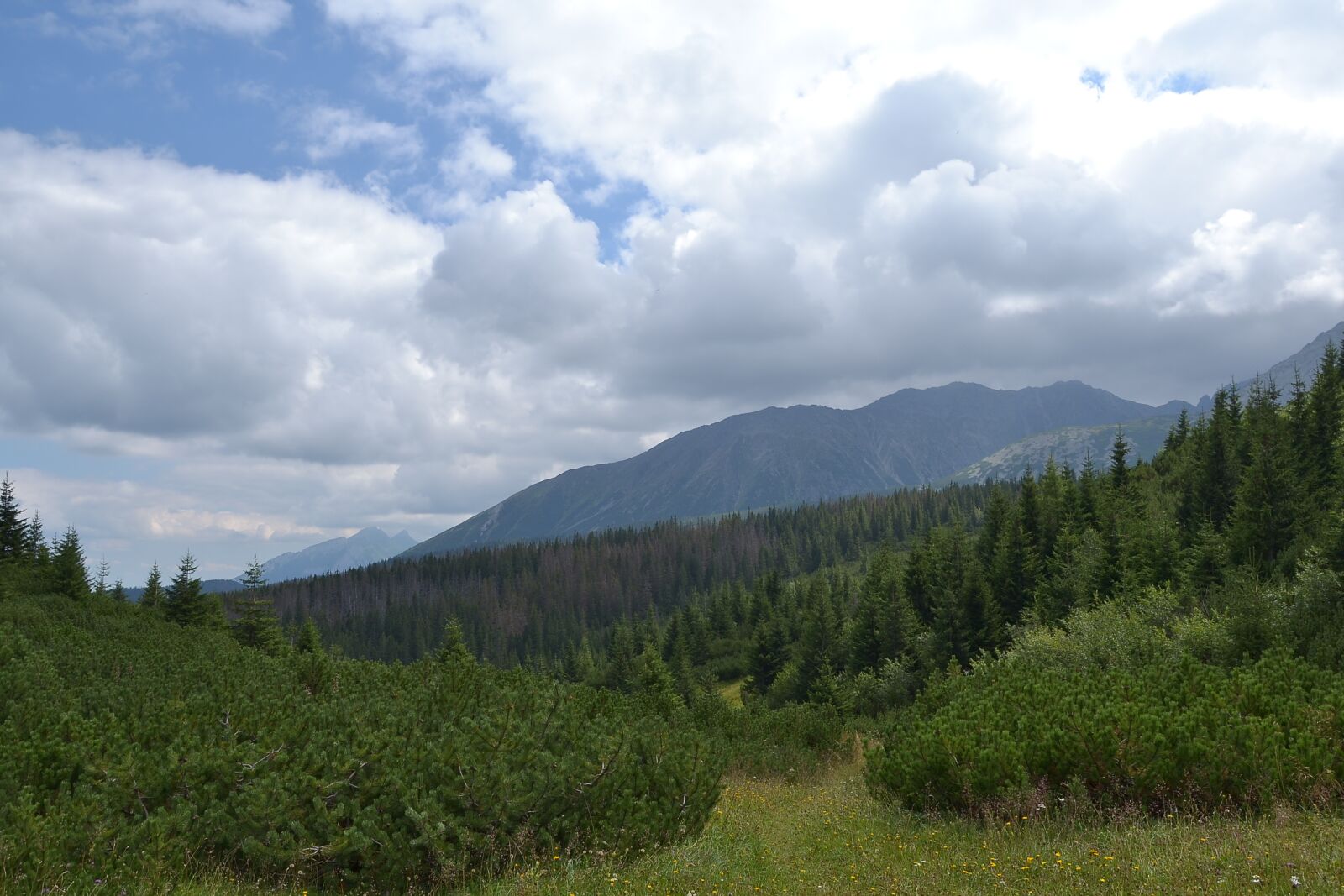 Nikon D3100 sample photo. Buried, mountains, hala g photography