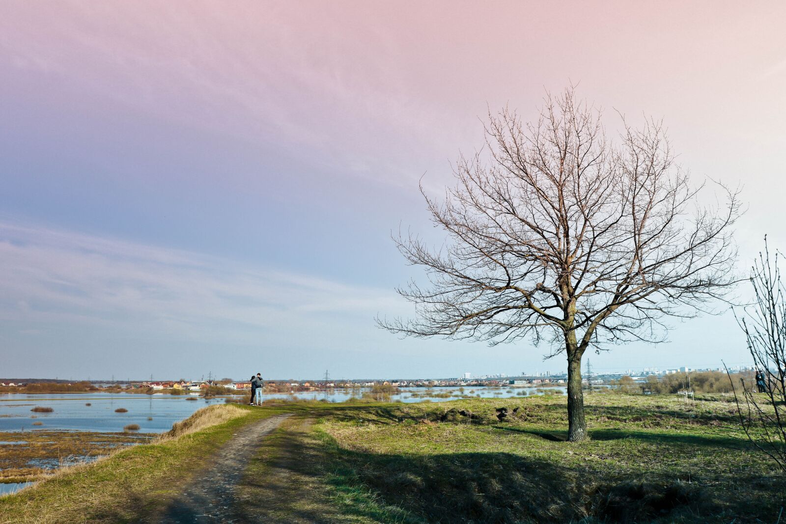 Canon EOS 77D (EOS 9000D / EOS 770D) sample photo. Tree, spill, creek photography