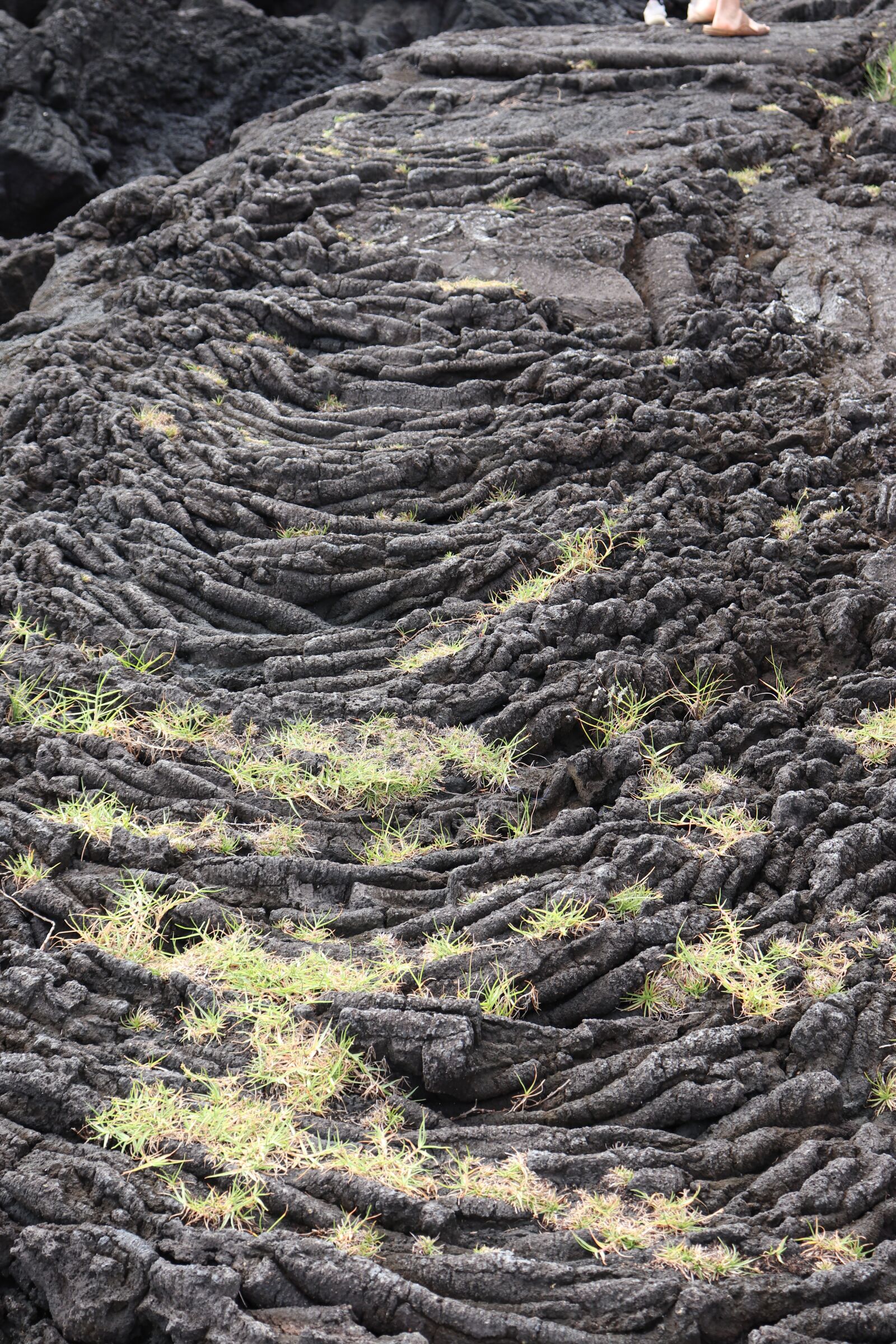Canon EOS 200D (EOS Rebel SL2 / EOS Kiss X9) sample photo. Lava flow, volcanoes national photography