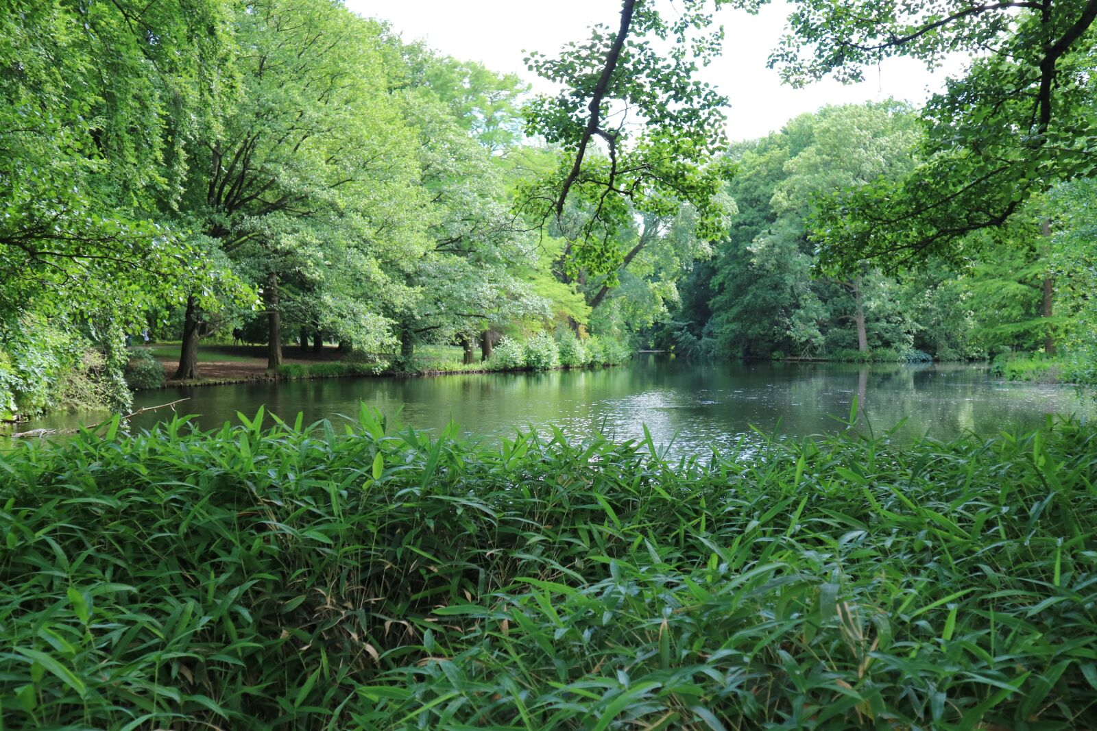 Canon EOS M3 sample photo. Berlin, nature, lake photography