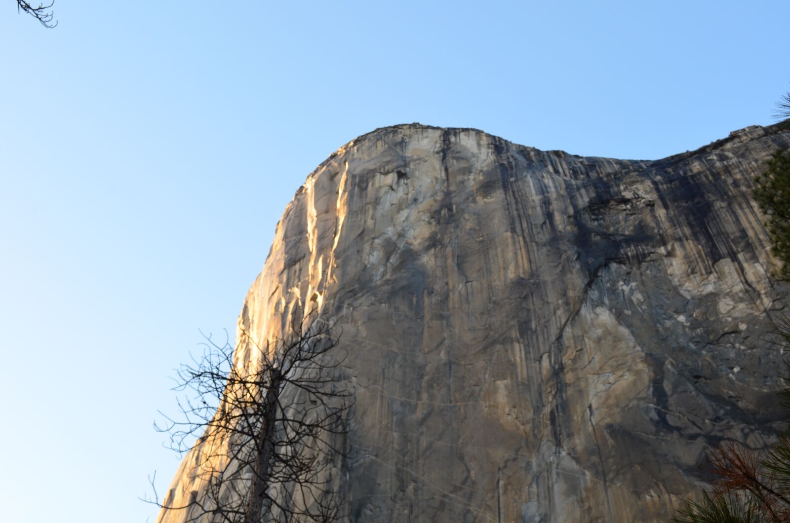 Nikon D5100 sample photo. Yosemite, national park, usa photography