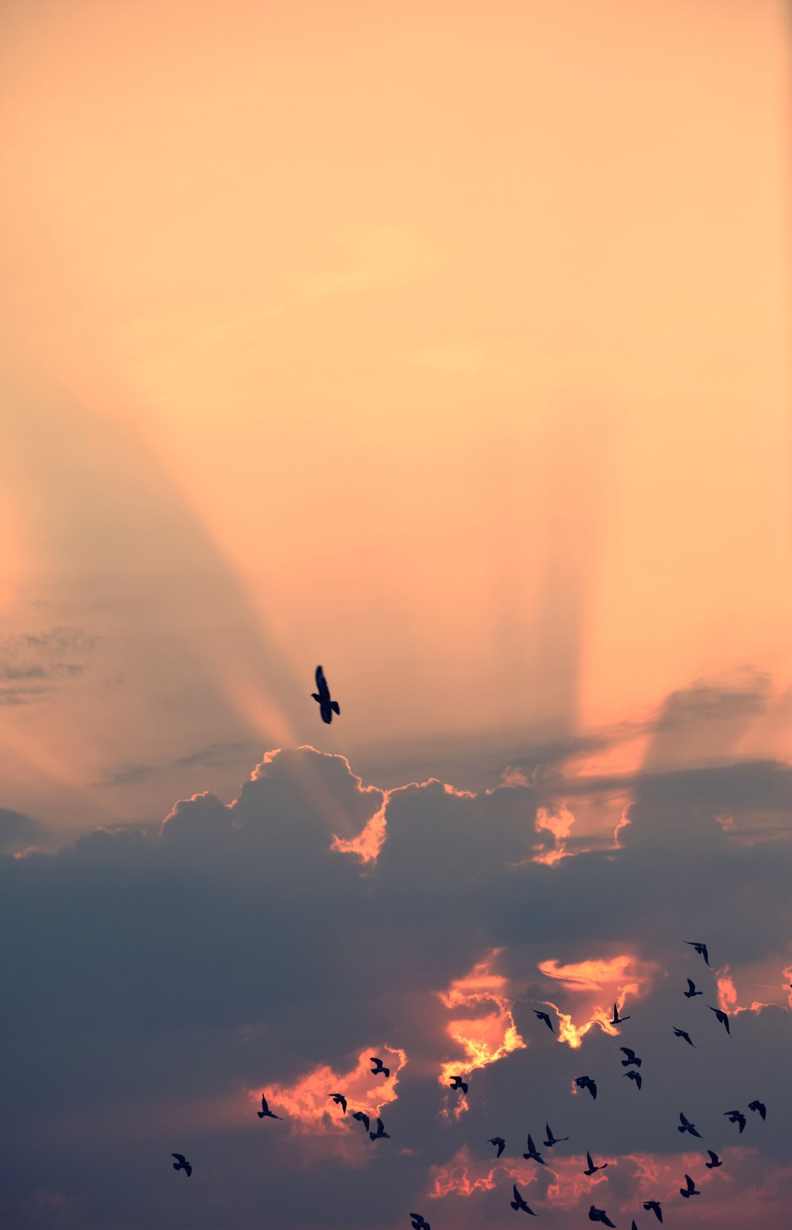 Nikon D3300 sample photo. Cloud, sunshine, sky photography