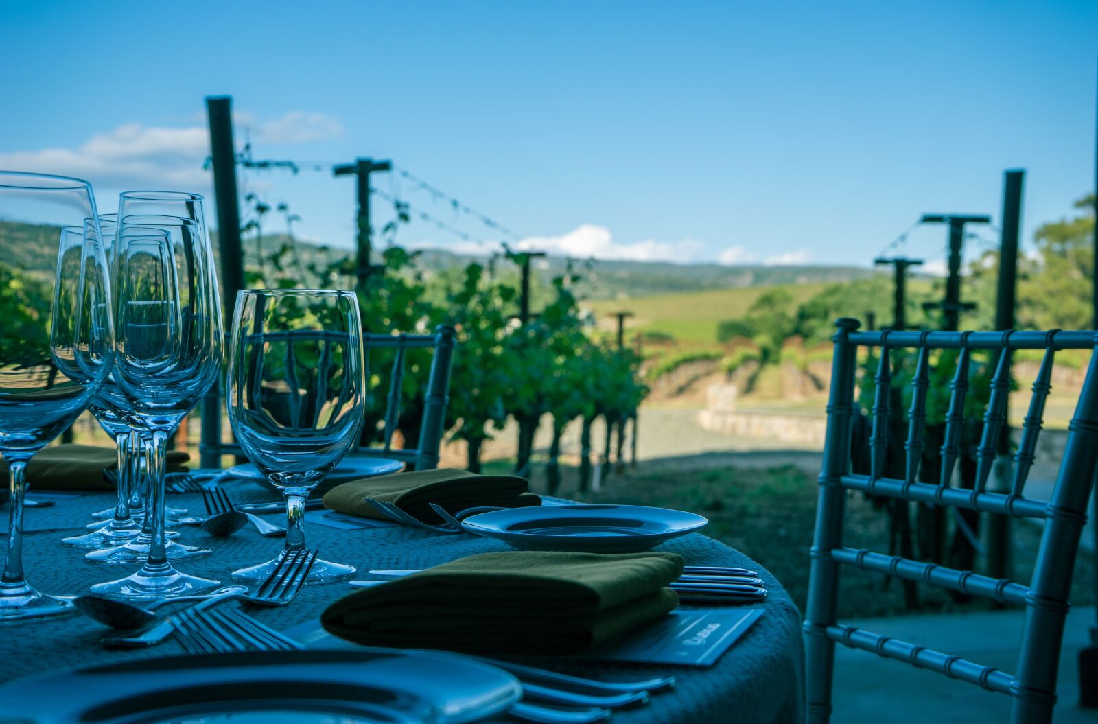 Sony a7 + Sony FE 28-70mm F3.5-5.6 OSS sample photo. Wine, napa valley, vineyard photography