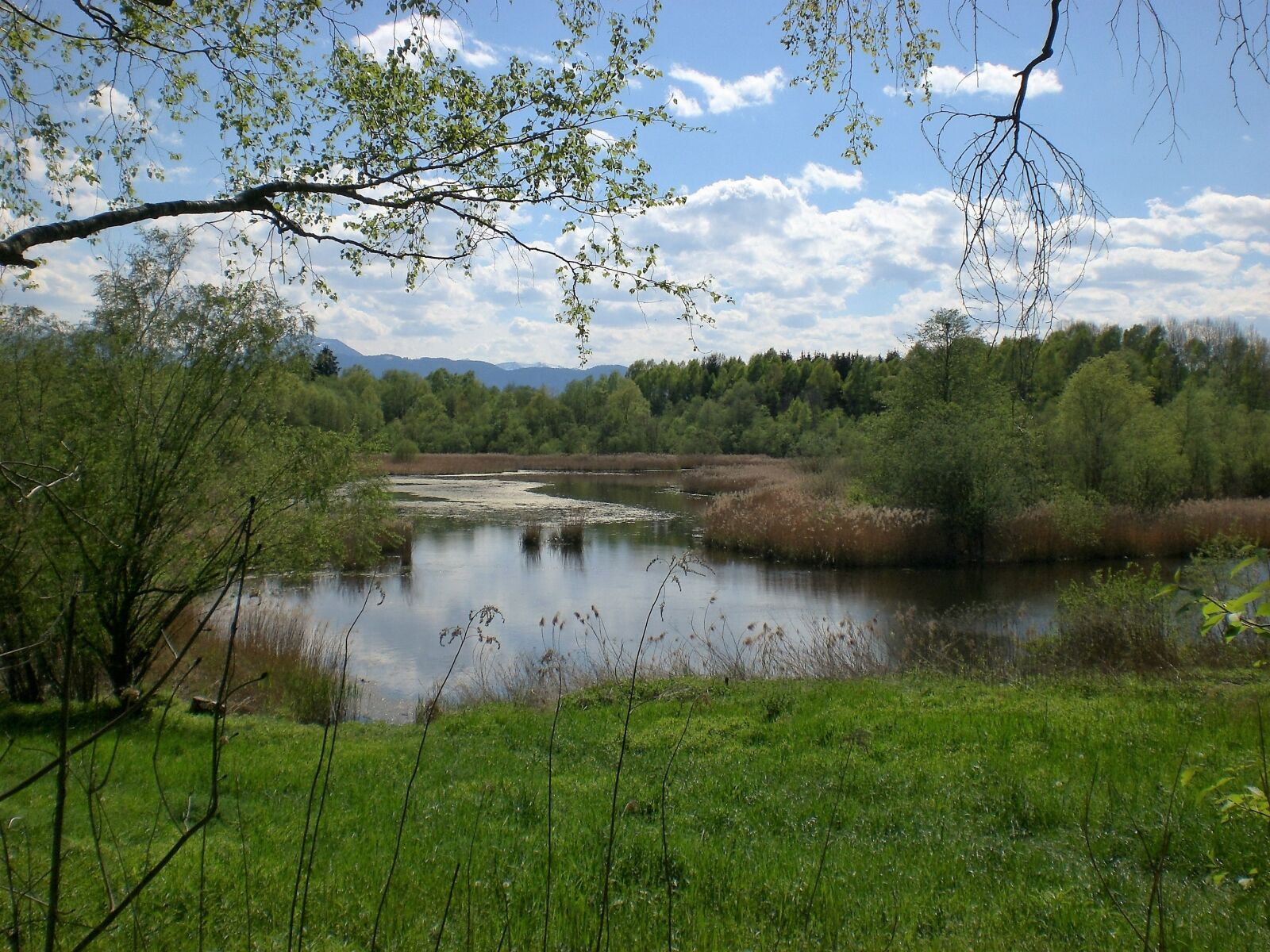 CASIO EX-Z75 sample photo. Nature, pond, water photography