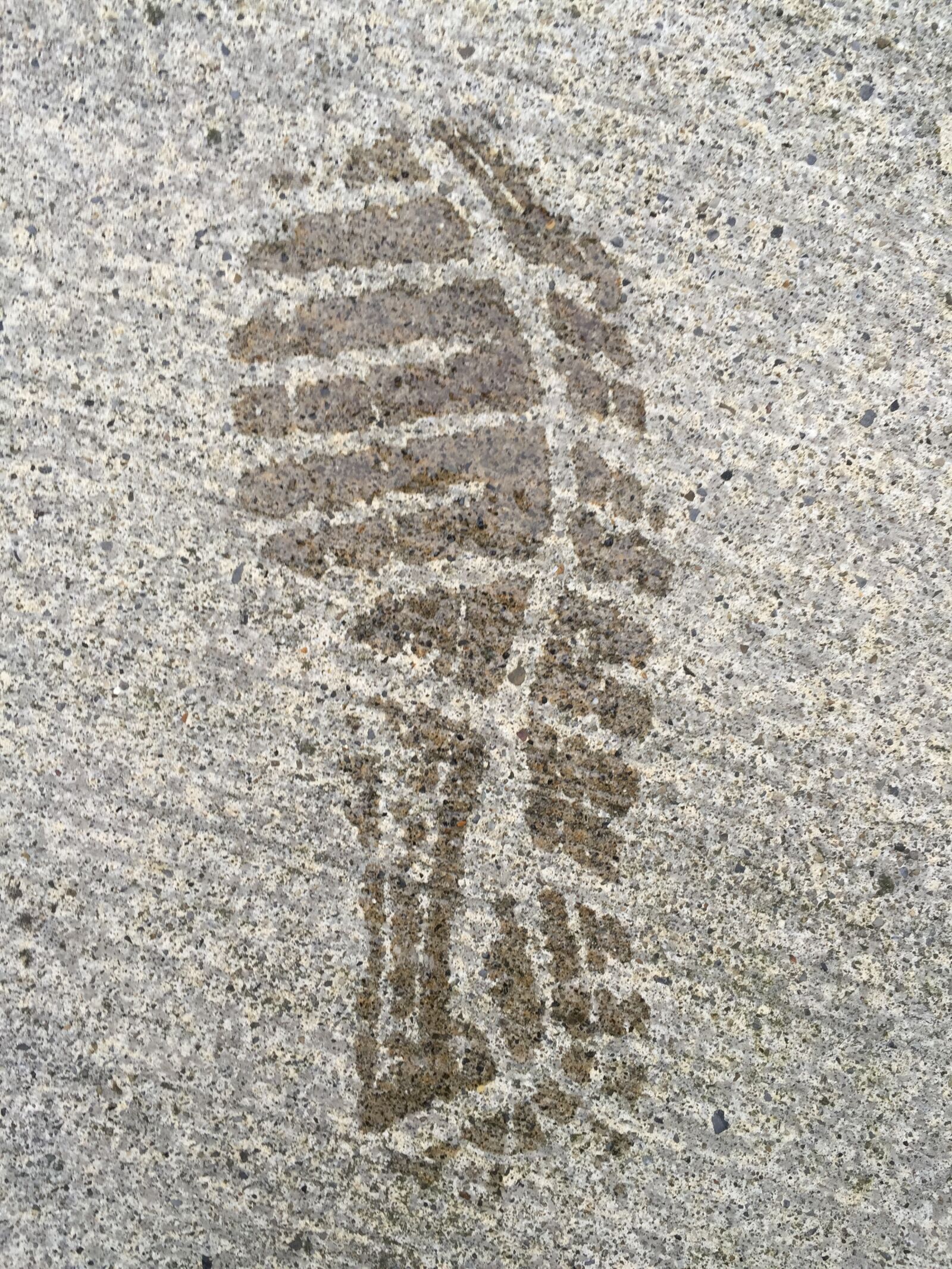 Apple iPhone 6 sample photo. Foot print, cement, grey photography