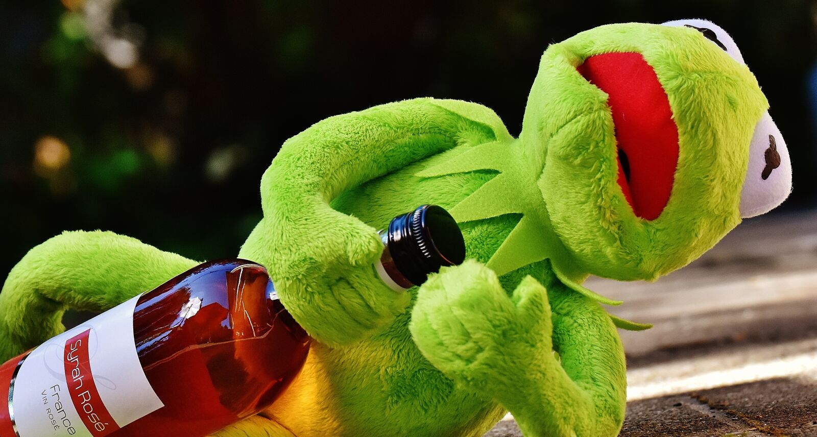 Nikon D7200 sample photo. Kermit, frog, drink photography