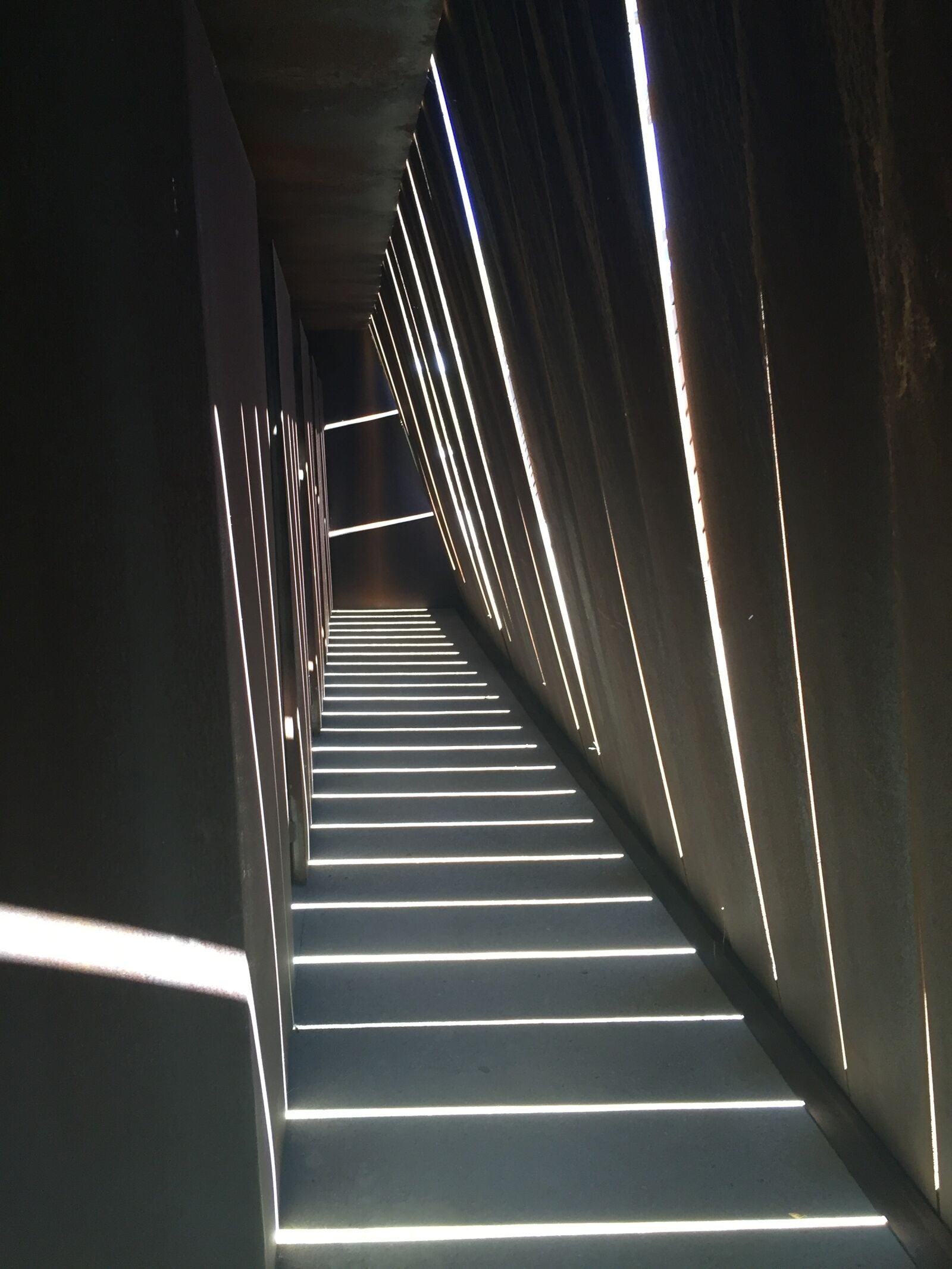 Apple iPhone 6 sample photo. Light, vineyards, hall photography