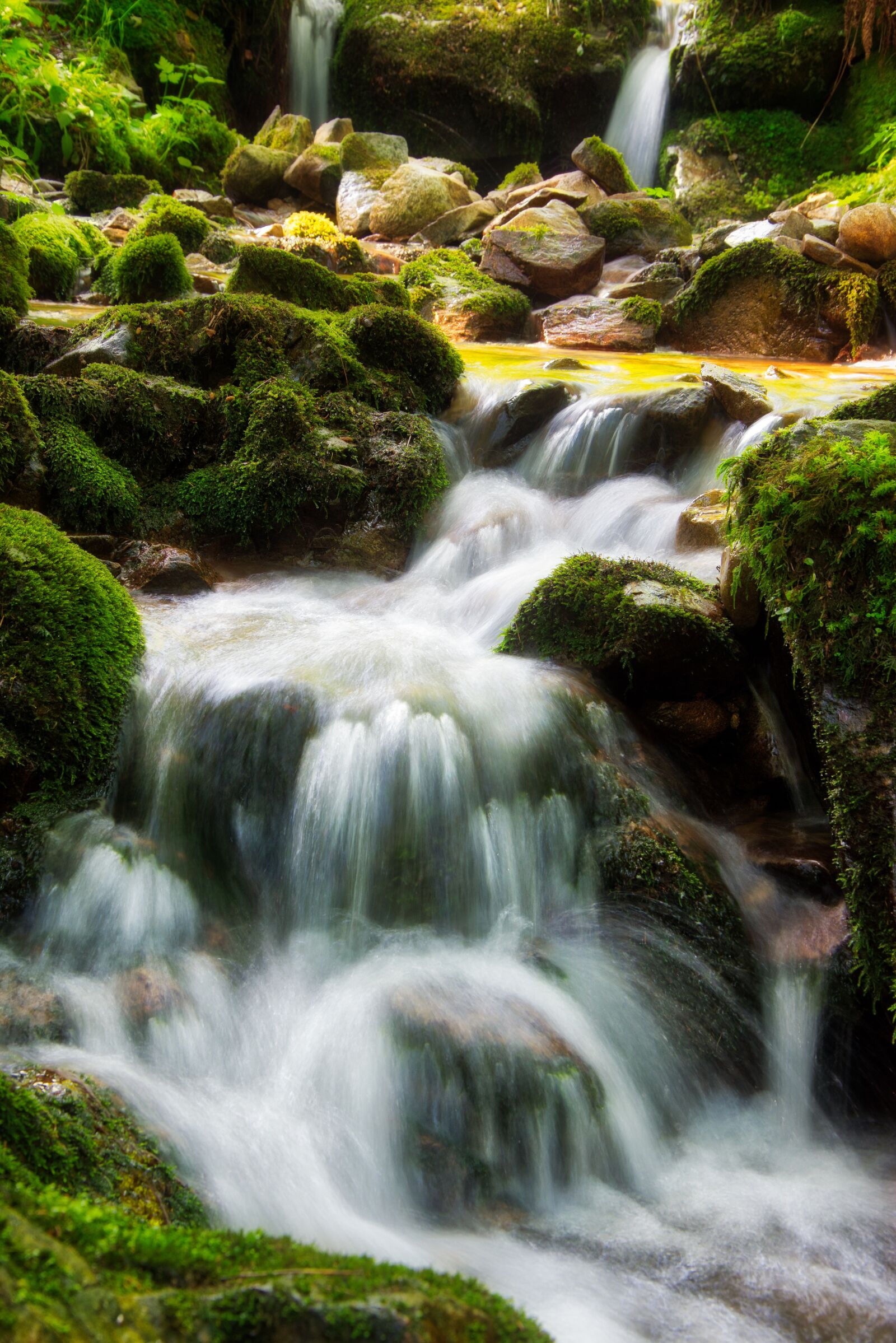 Nikon D5300 sample photo. Bach, torrent, water photography