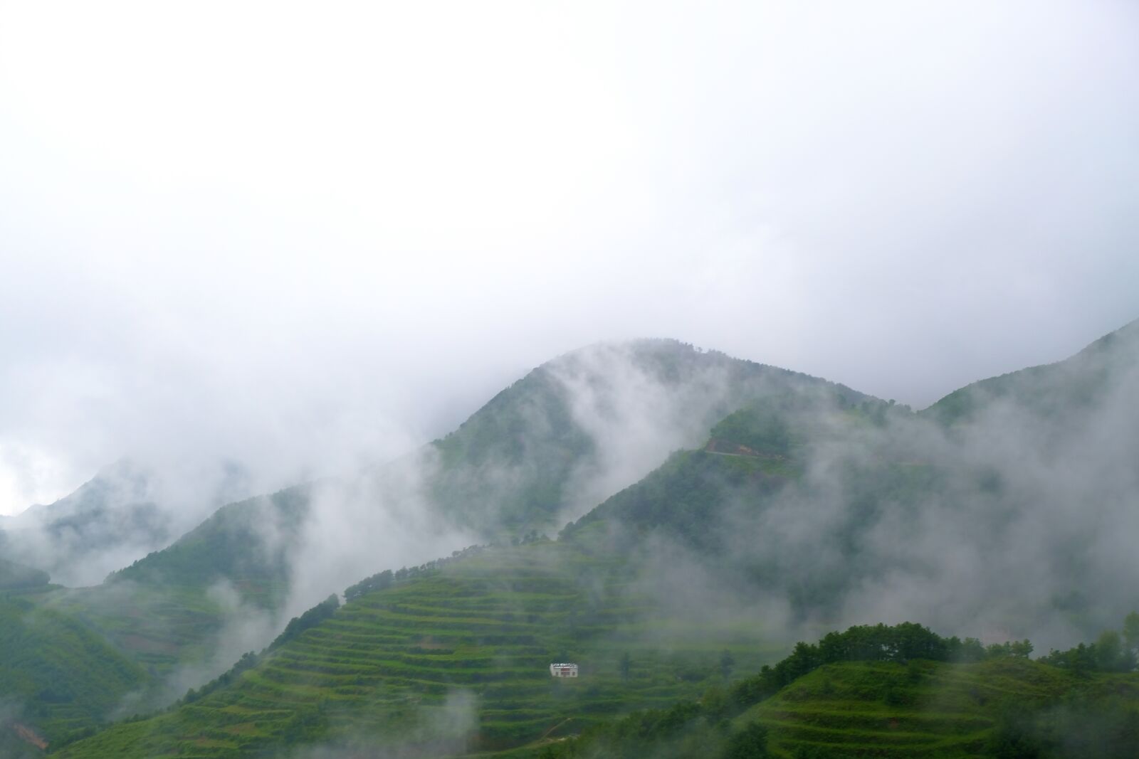Fujifilm X-T20 sample photo. Mountain mist, green, wonderland photography