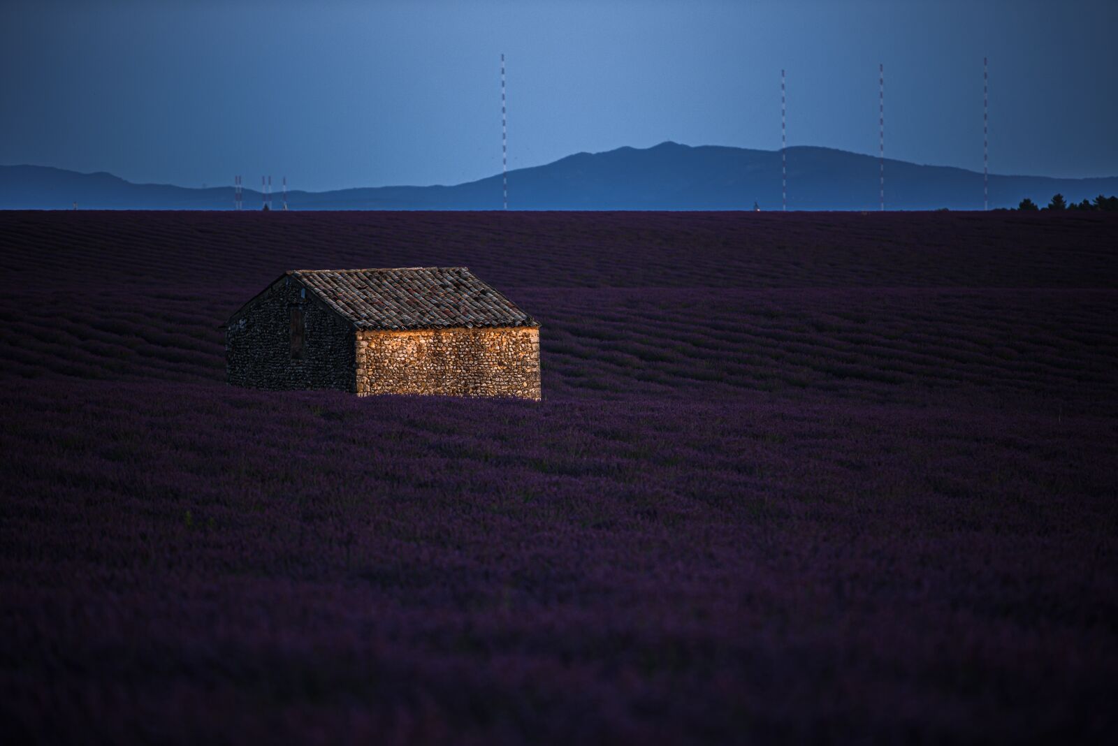 Nikon D750 sample photo. House, fields, lavender photography