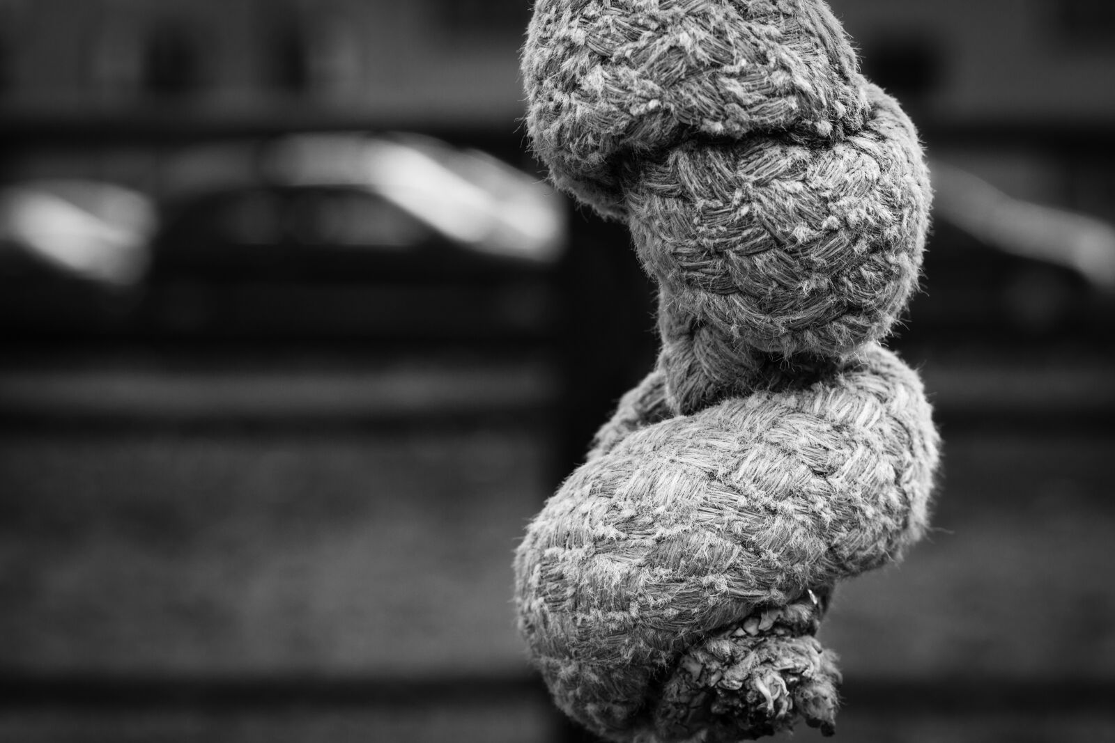 Canon EOS 700D (EOS Rebel T5i / EOS Kiss X7i) + Canon EF 50mm F1.8 STM sample photo. Rope, industry, production photography